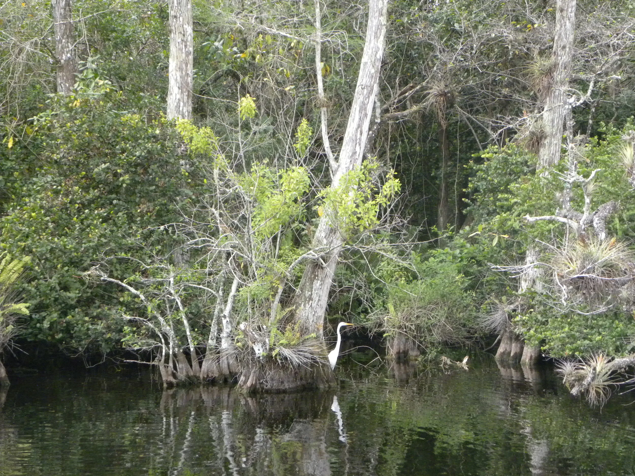 DSCN9349.JPG