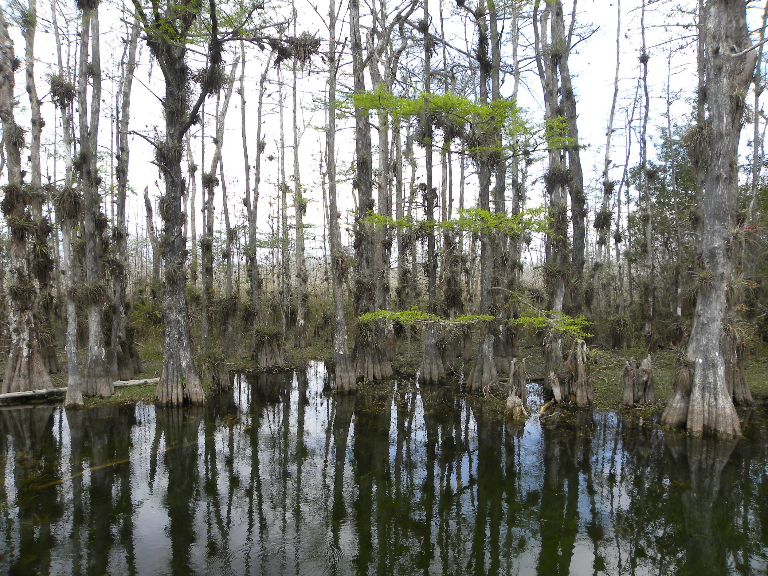 DSCN9418.JPG
