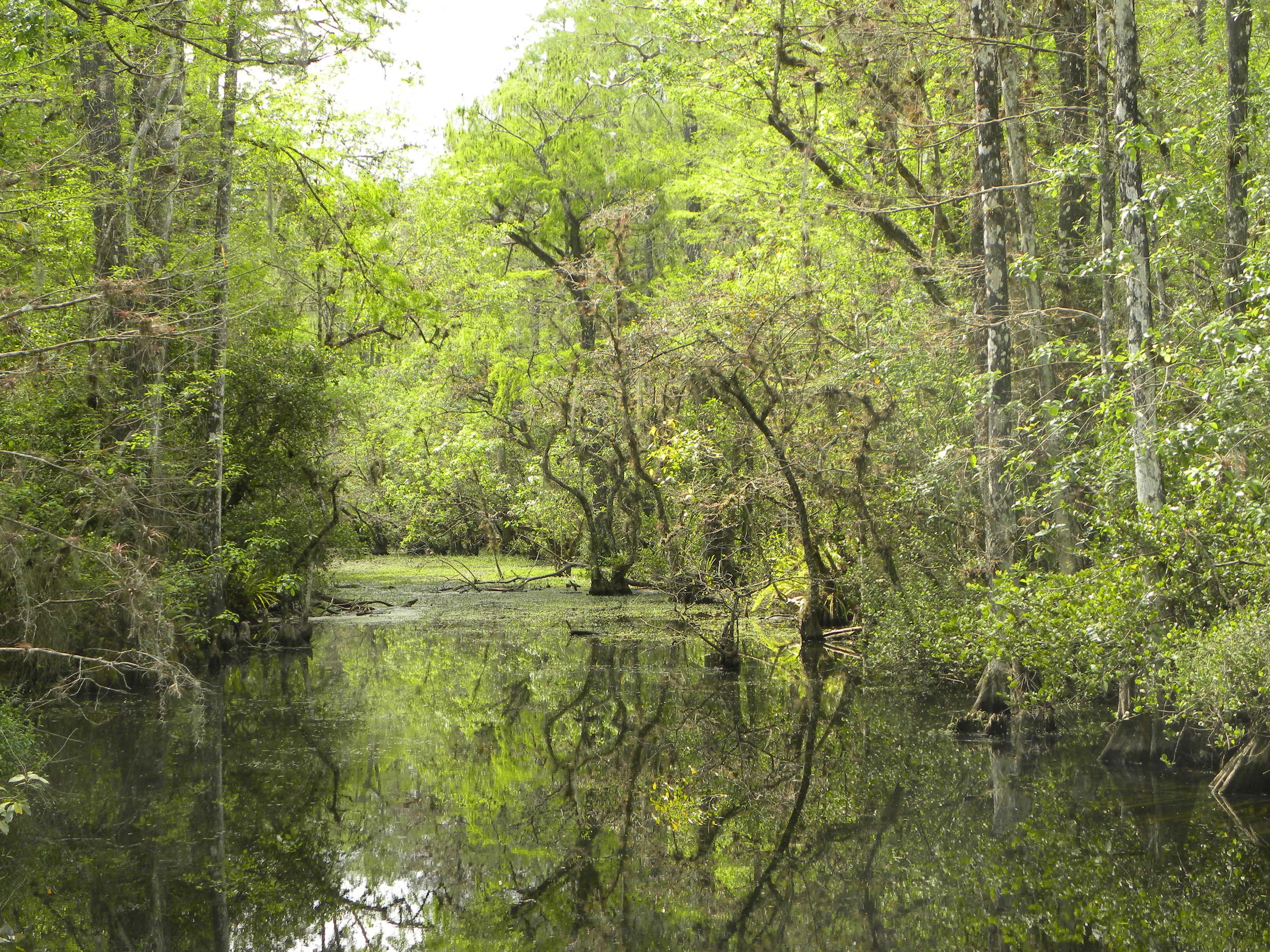 DSCN9475.JPG