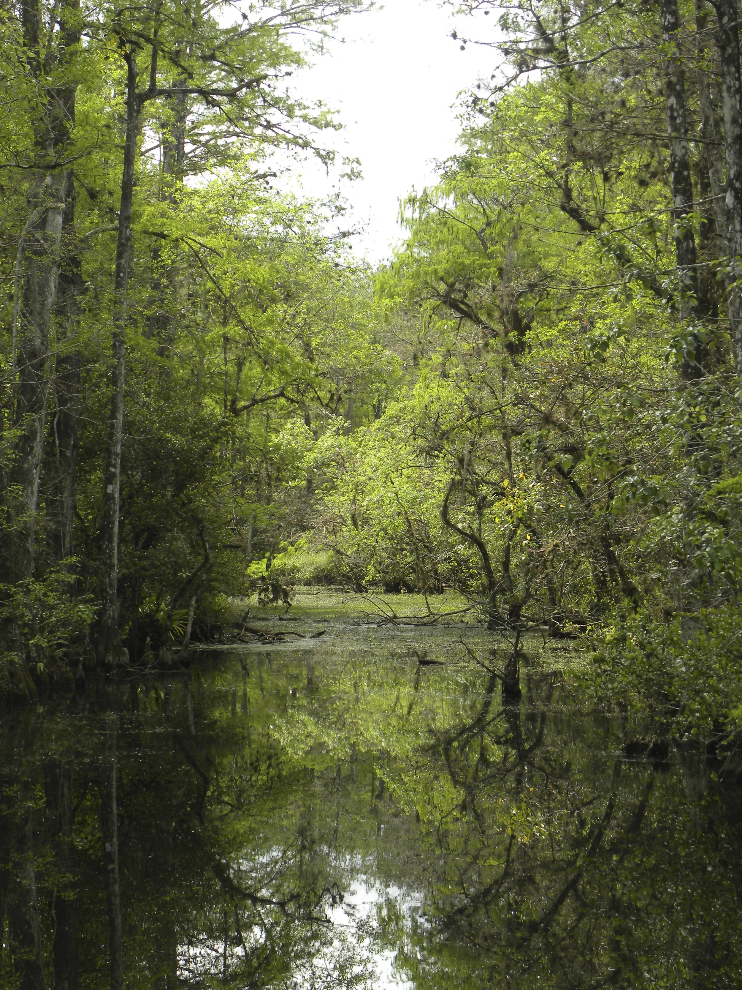 DSCN9480.JPG