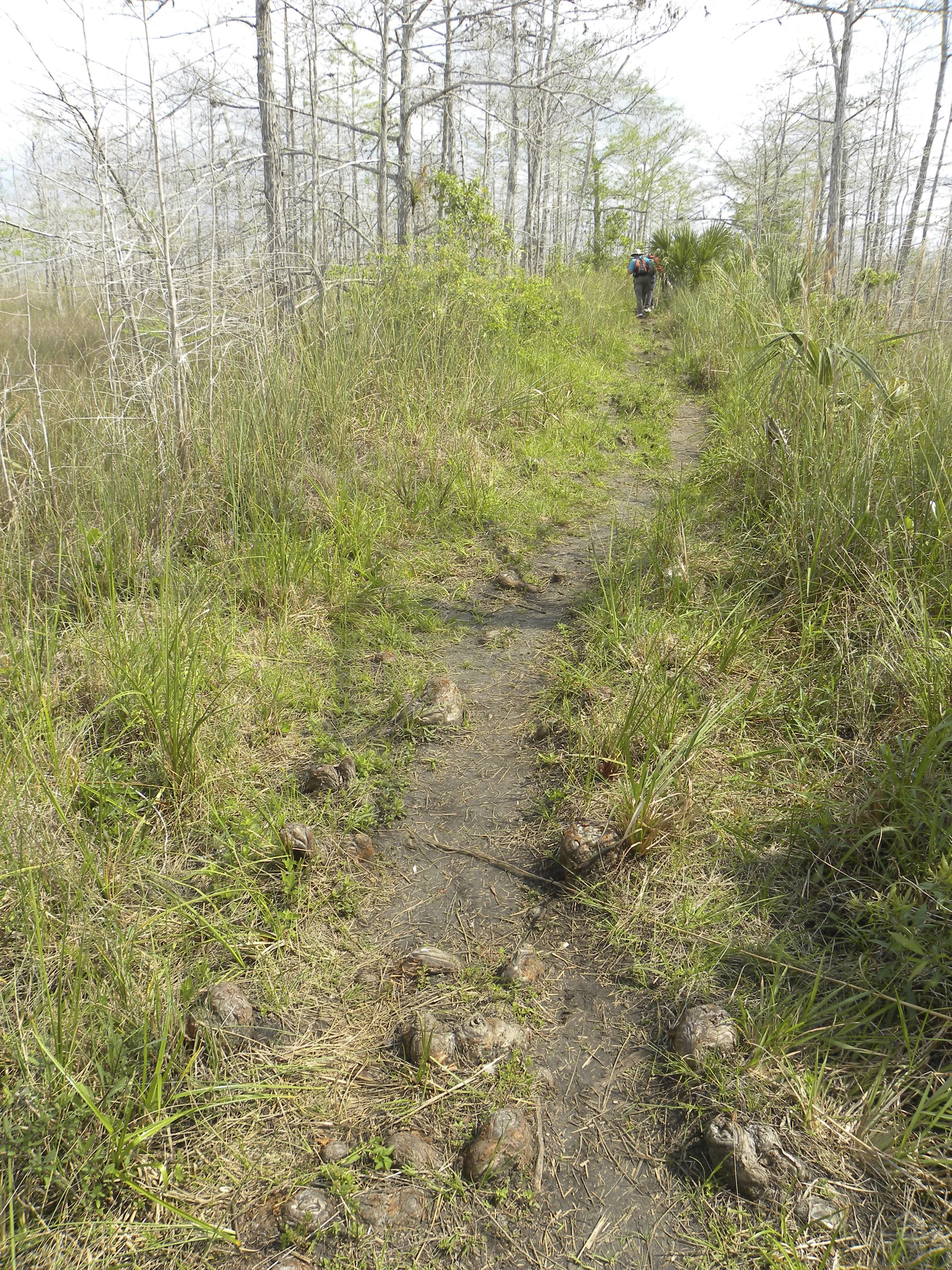 DSCN9499.JPG