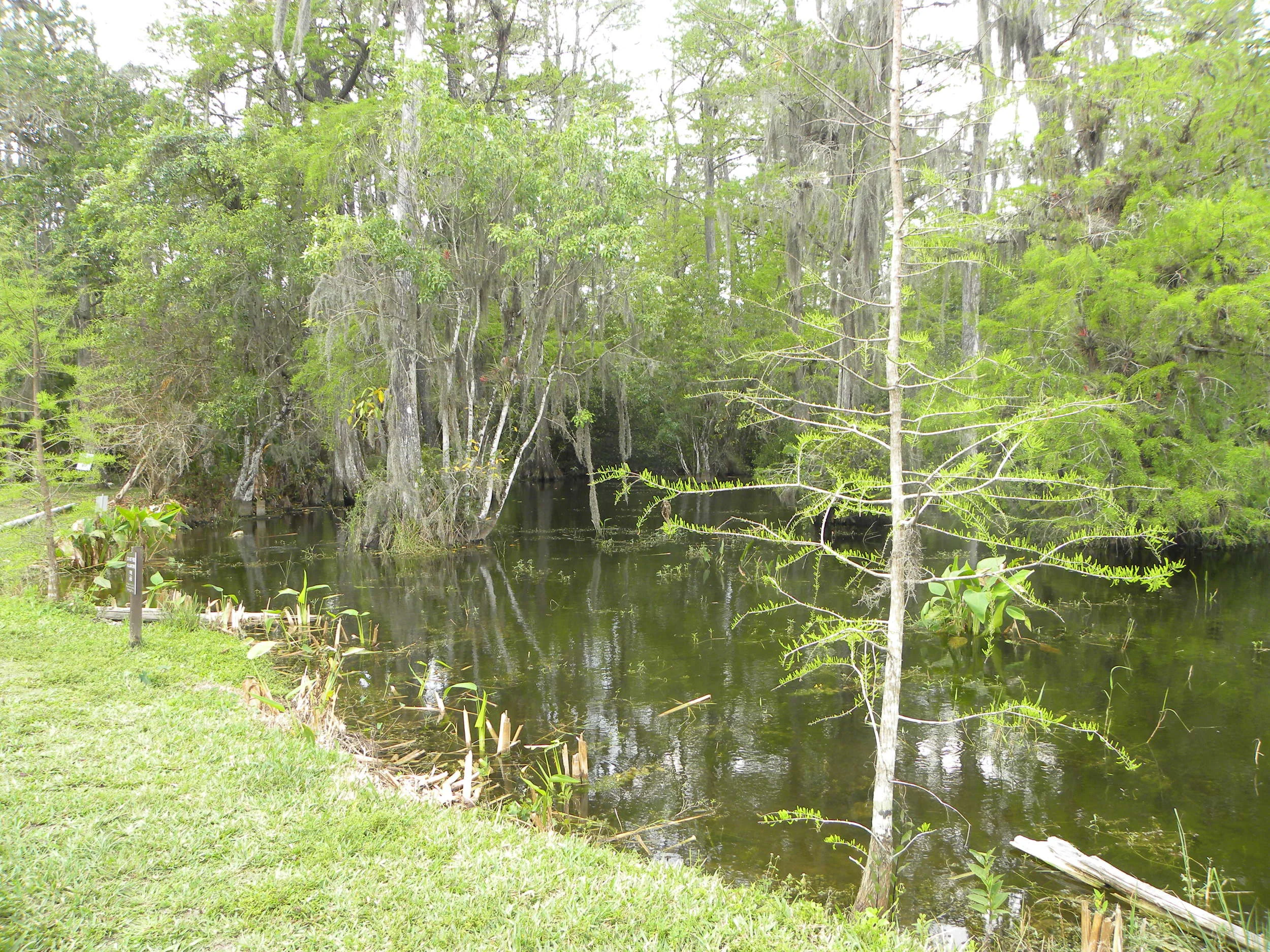 DSCN9561.JPG