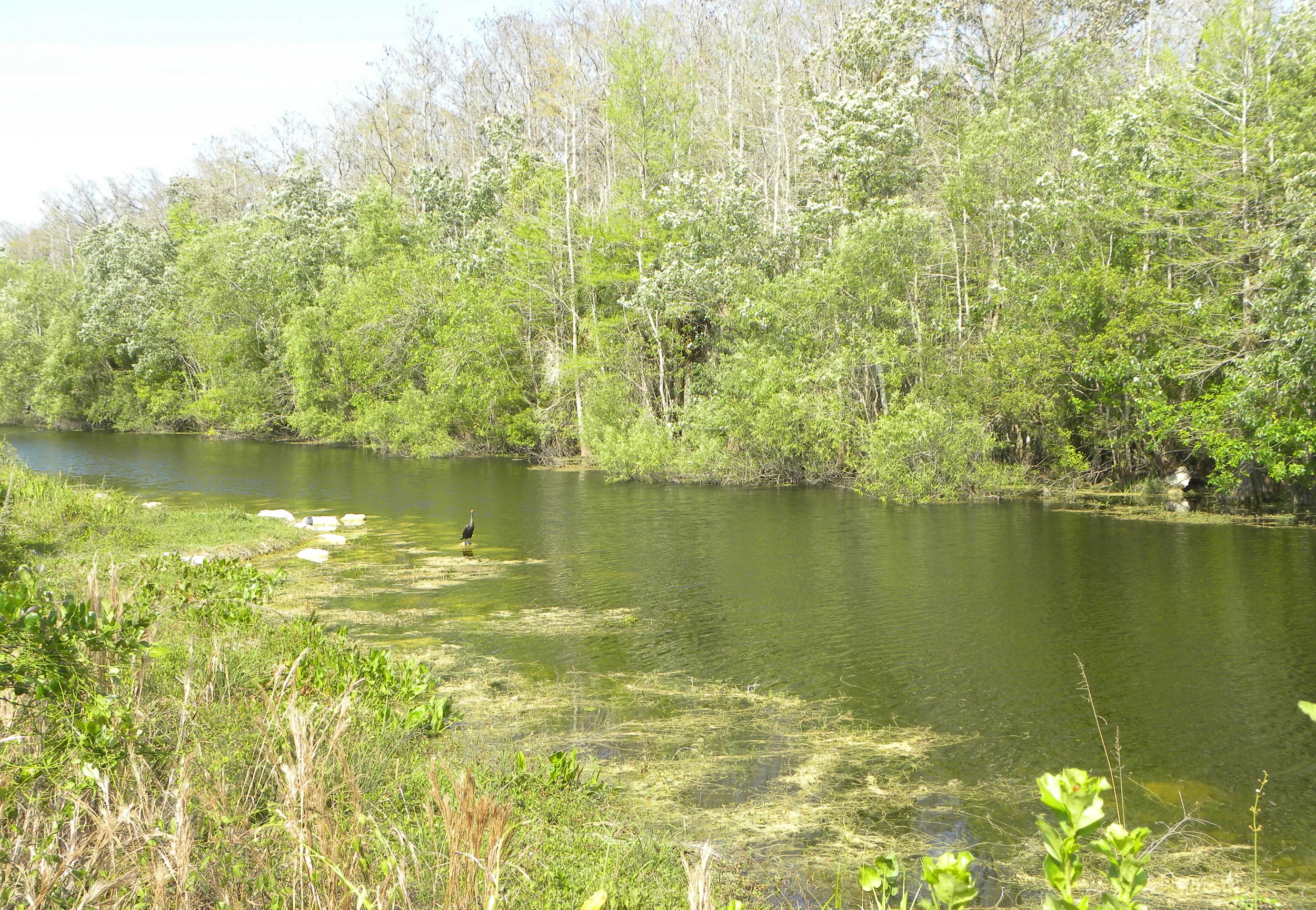 DSCN9042XX.JPG