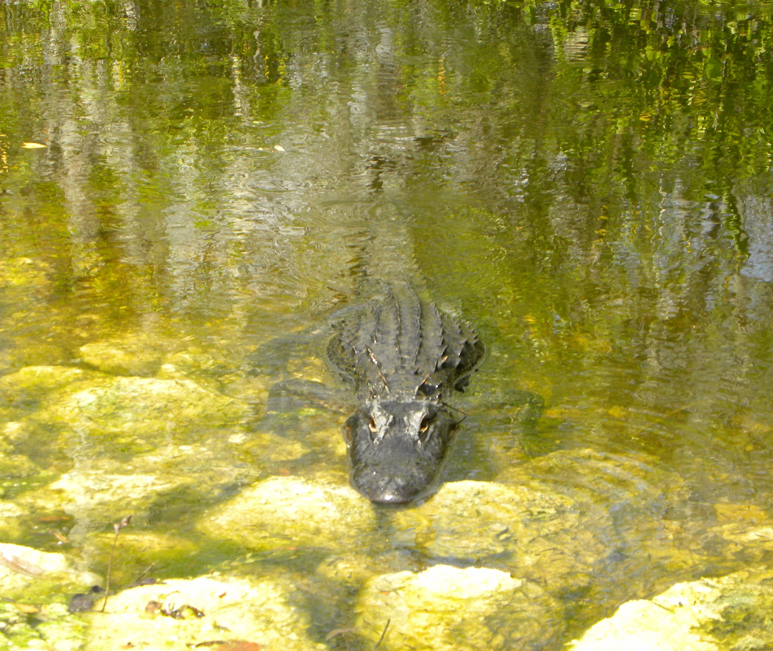 DSCN9337S.JPG