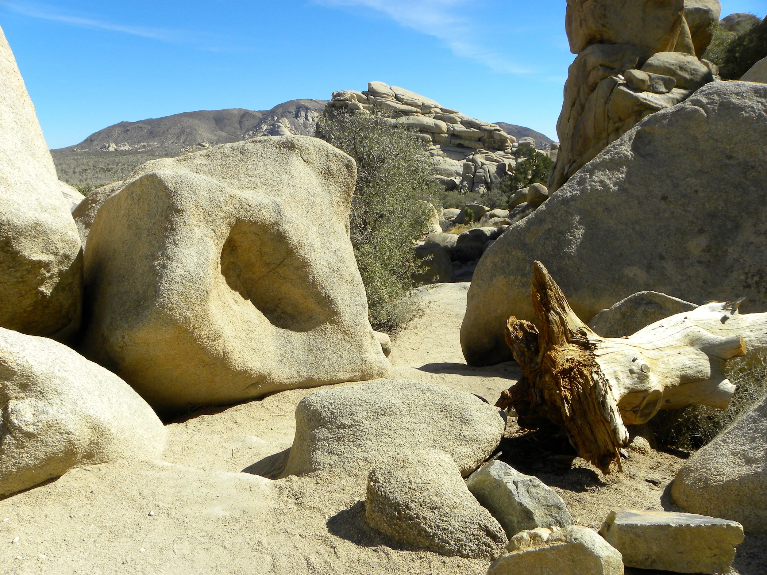 DSCN2032XXSMX 60.JPG