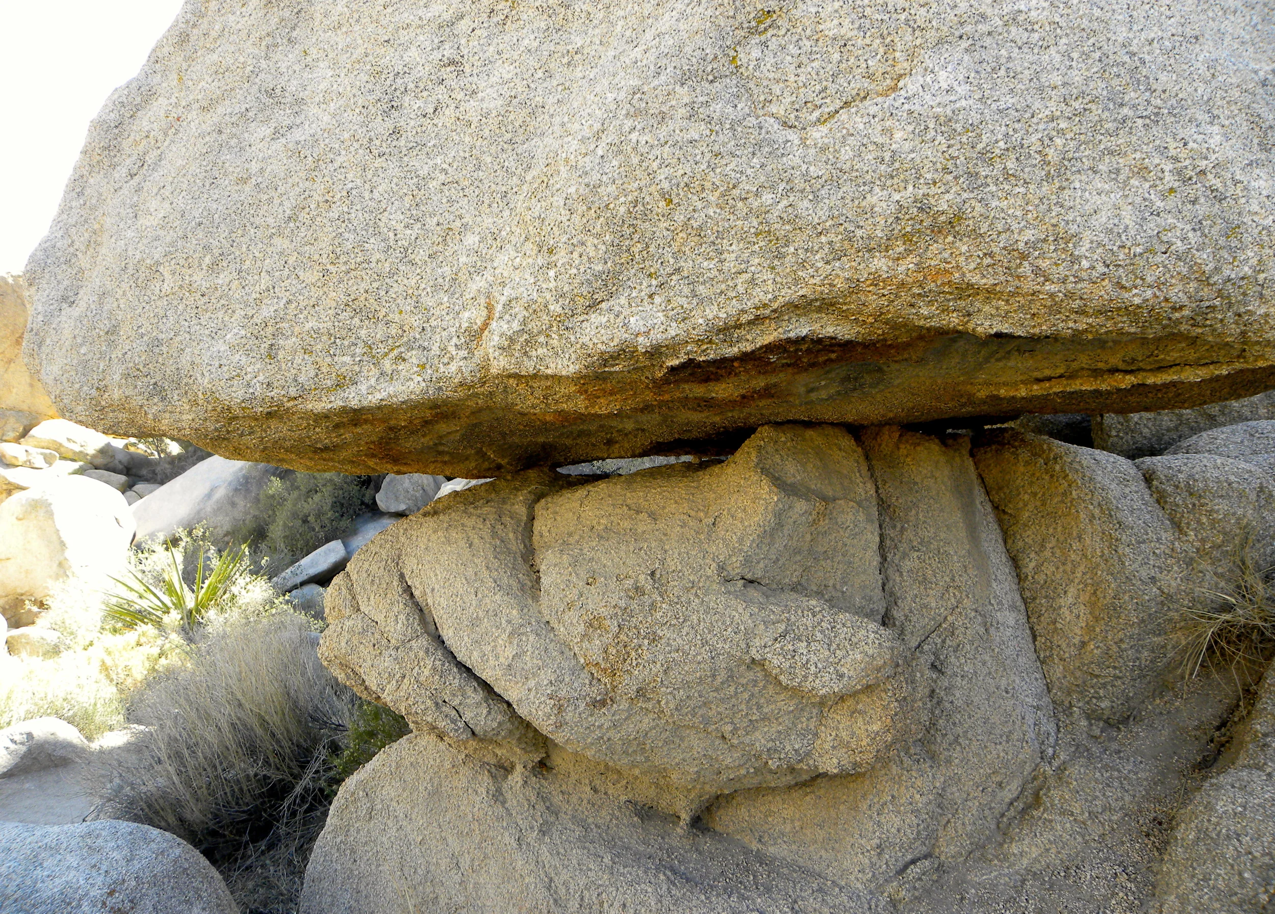 DSCN2032XXSMX 59.JPG