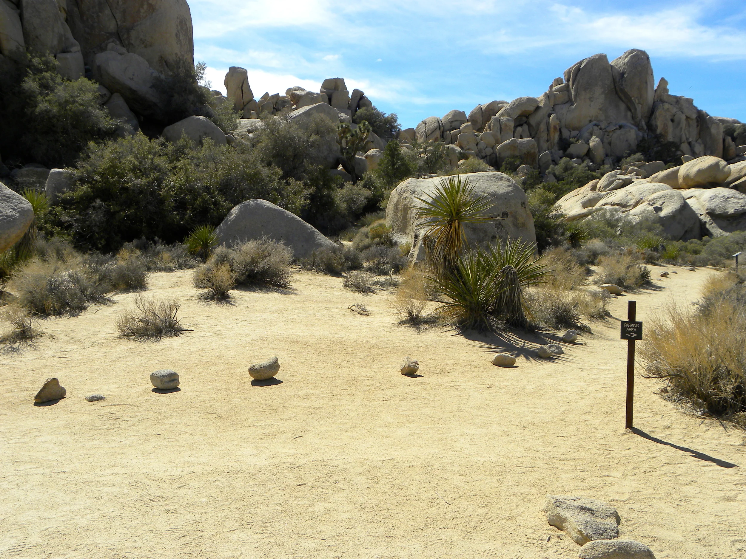 DSCN2032XXSMX 57.JPG