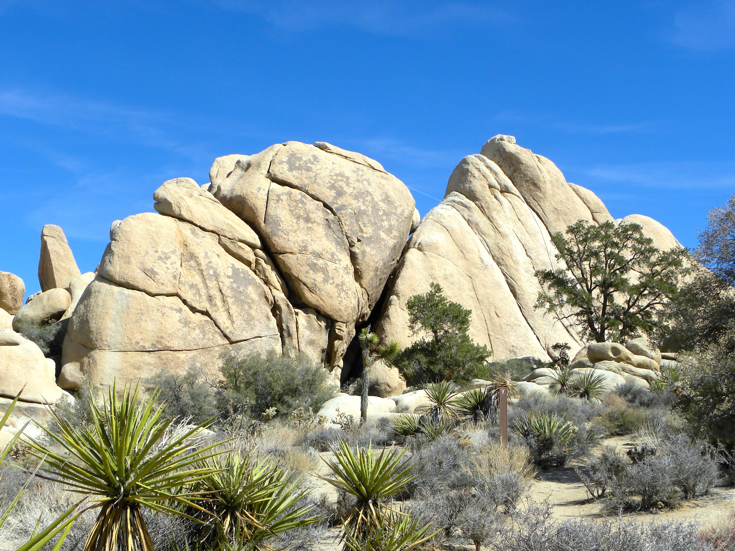 DSCN2032XXSMX 56.JPG