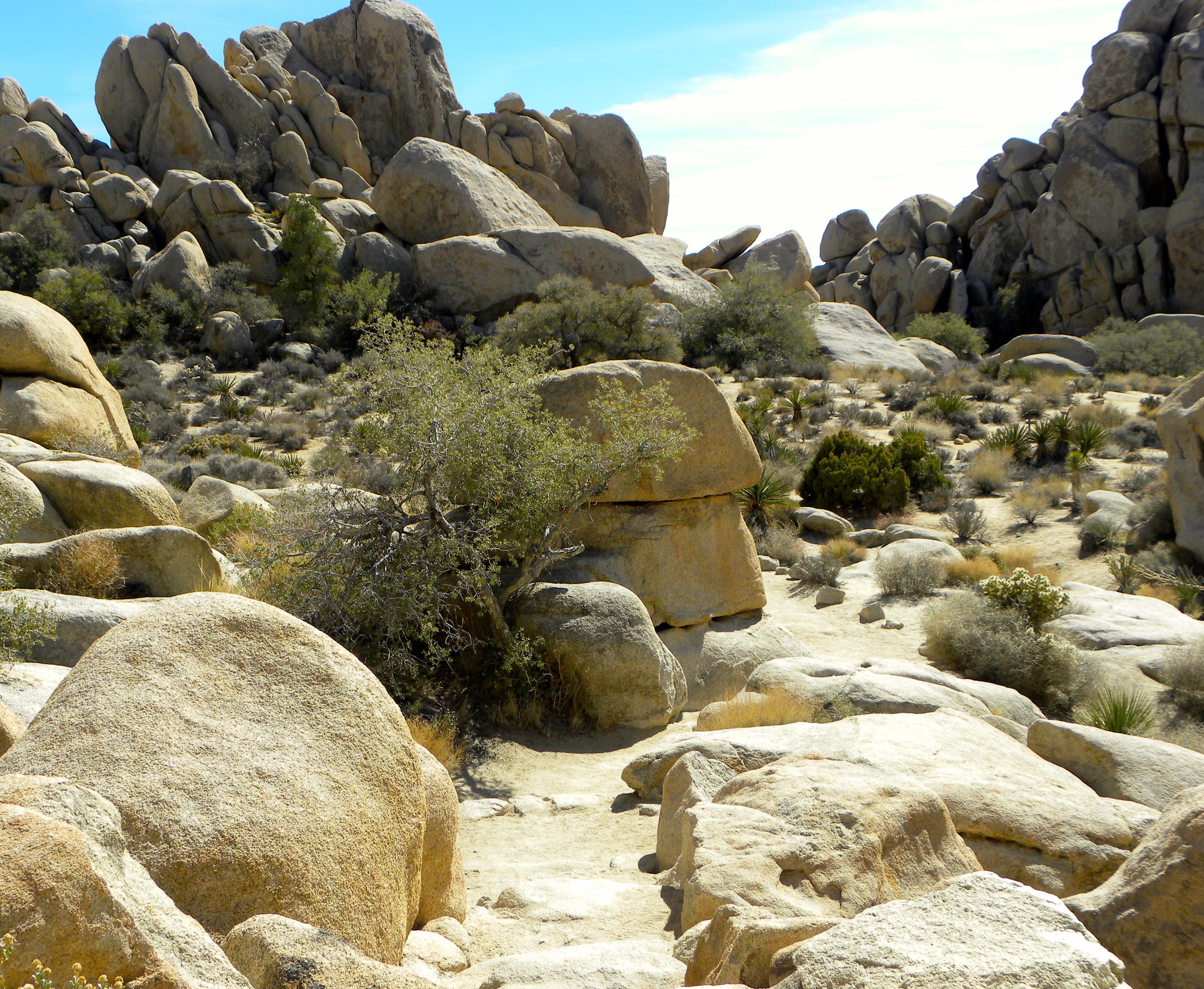 DSCN2032XXSMX 54.JPG