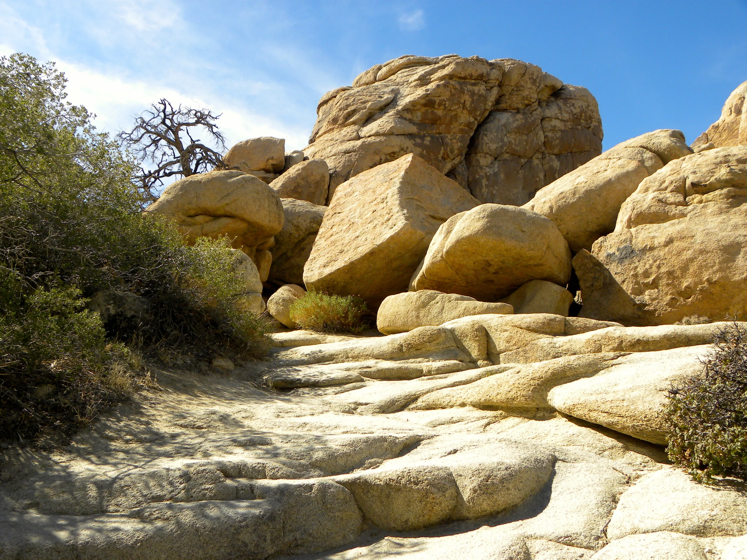 DSCN2032XXSMX 53.JPG