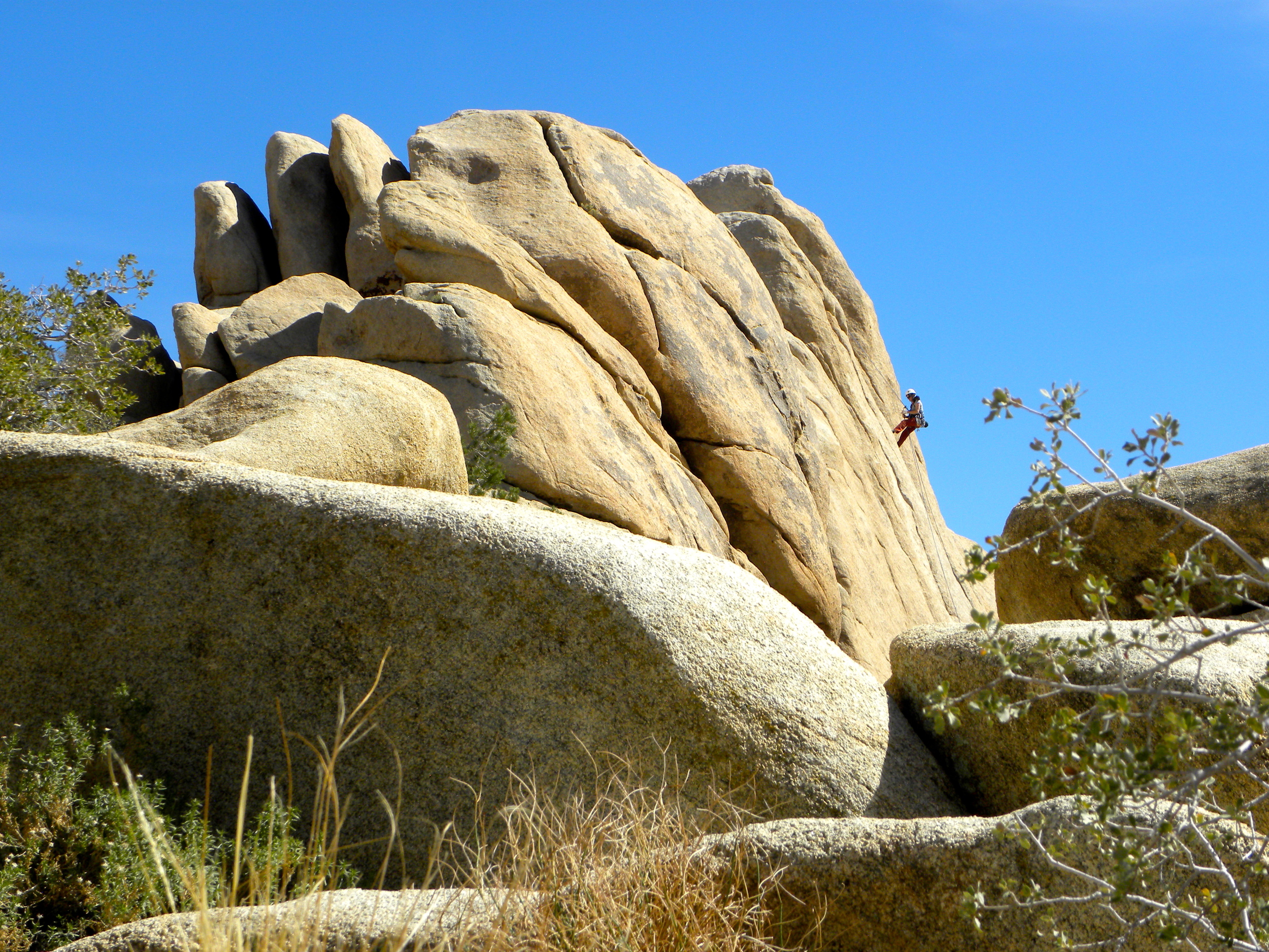 DSCN2032XXSMX 55.JPG