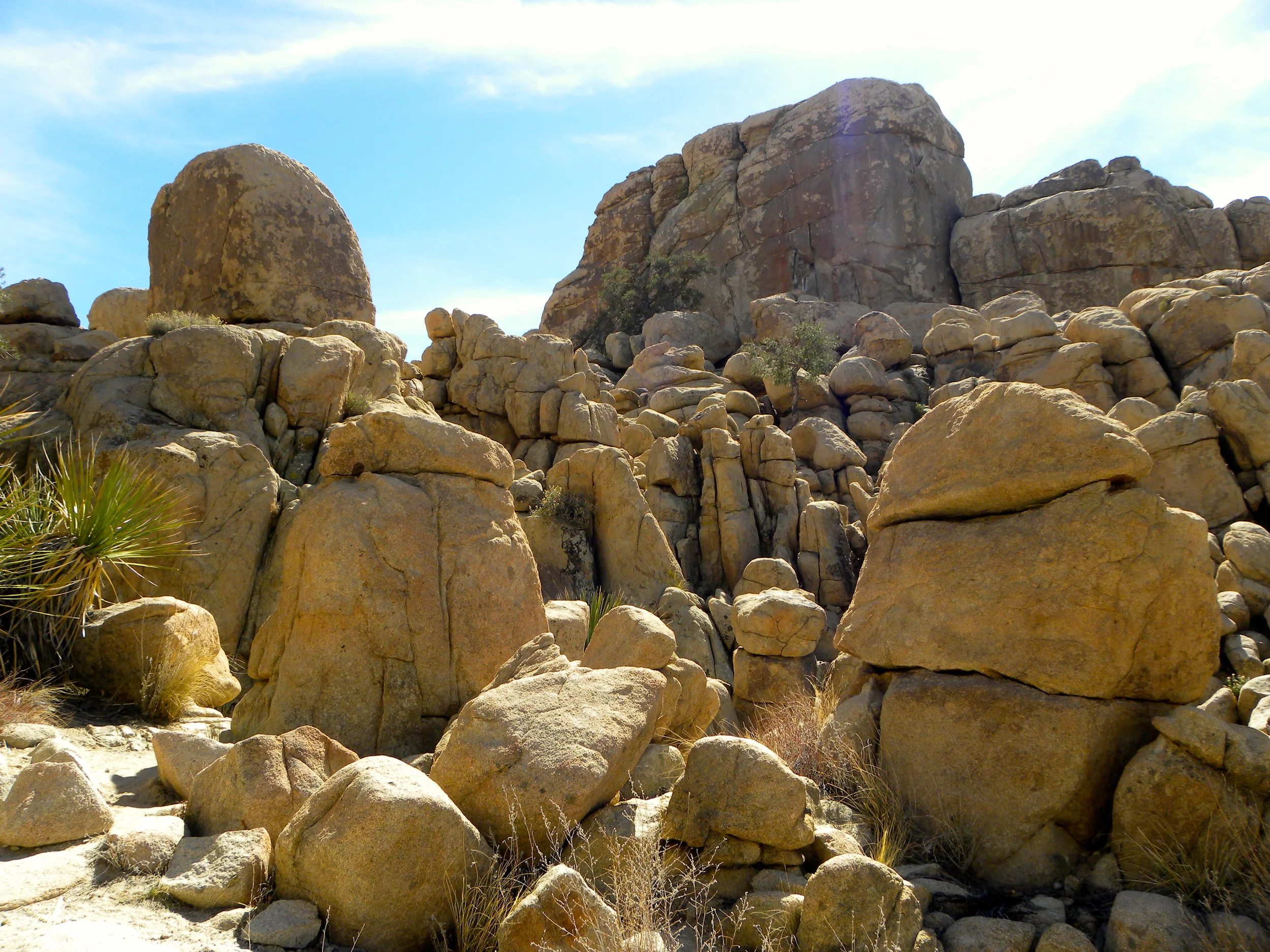 DSCN2032XXSMX 49.JPG