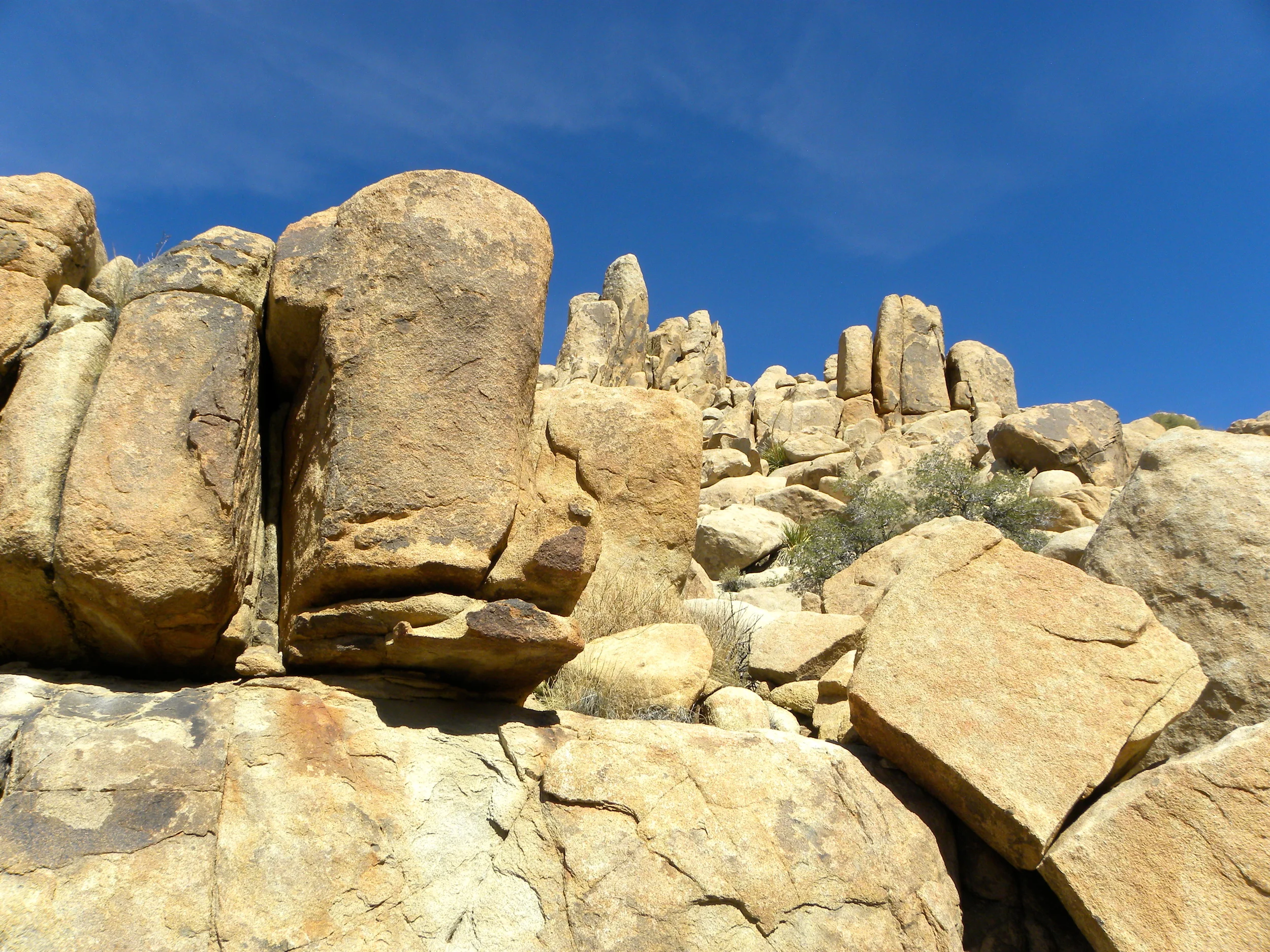 DSCN2032XXSMX 47.JPG