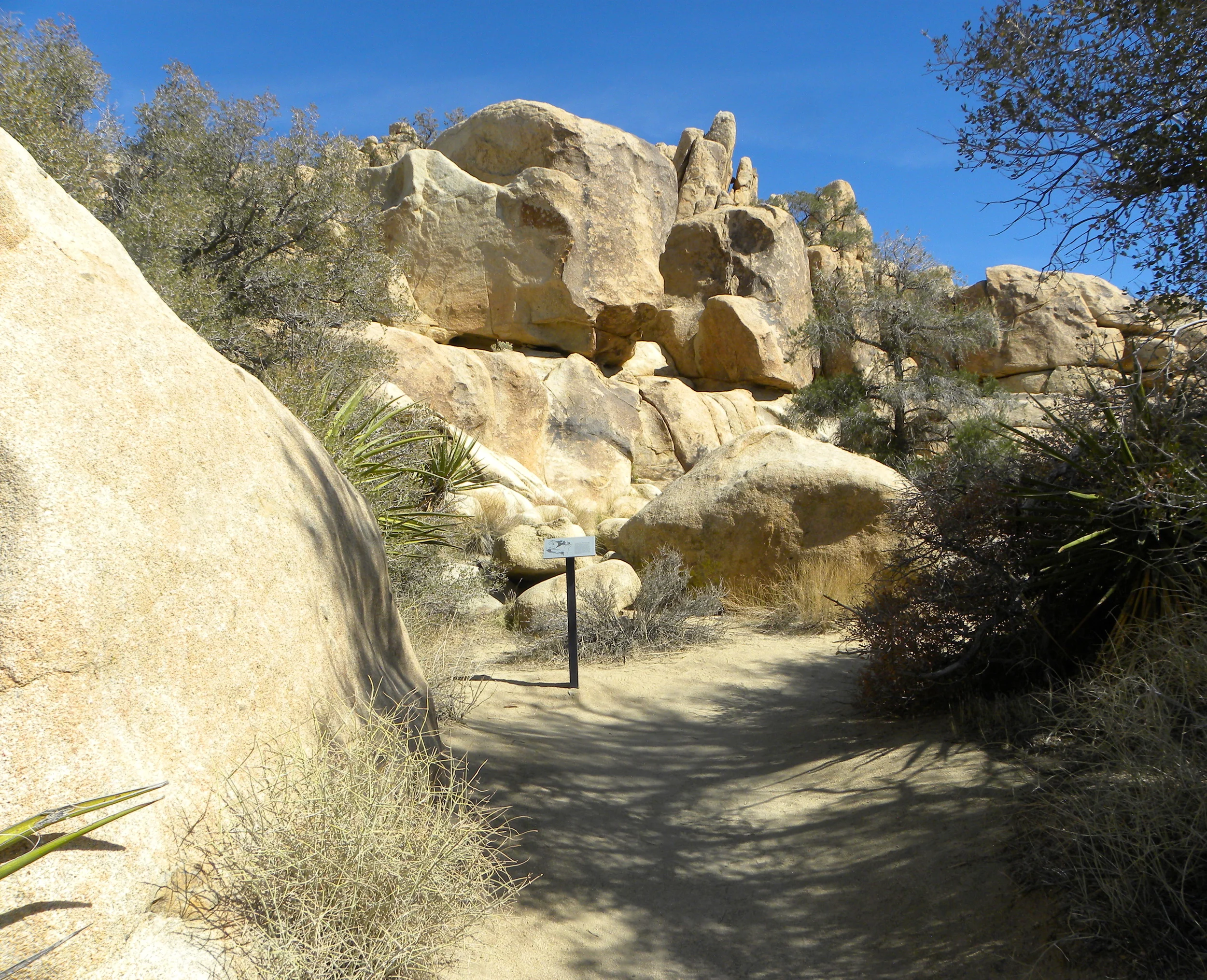 DSCN2032XXSMX 45.JPG