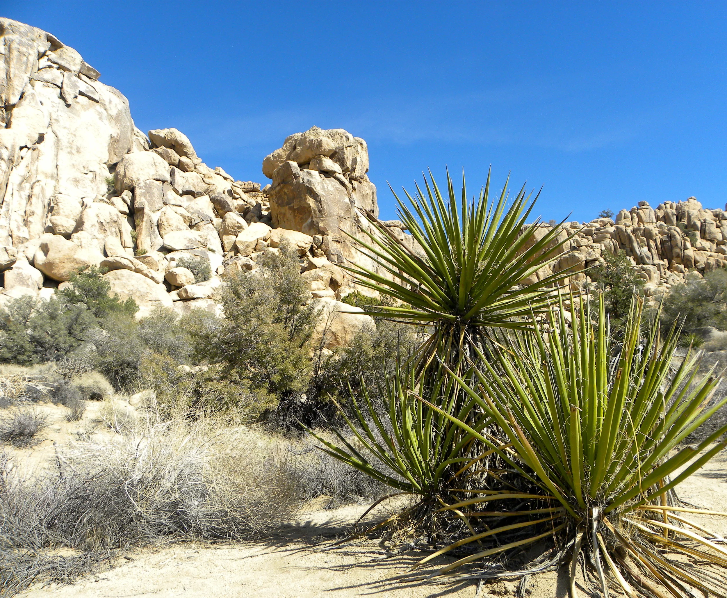 DSCN2032XXSMX 43.JPG