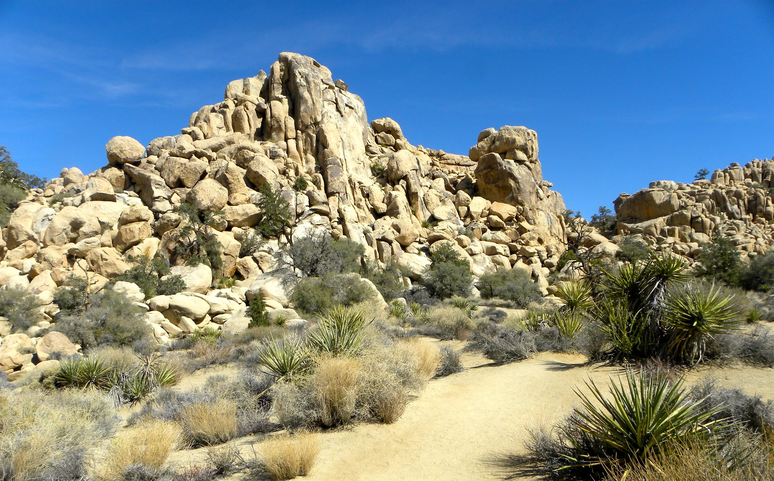 DSCN2032XXSMX 42.JPG