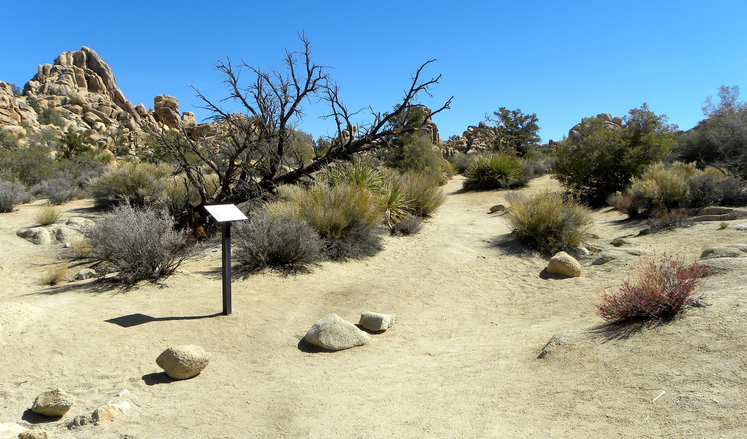 DSCN2032XXSMX 38.JPG