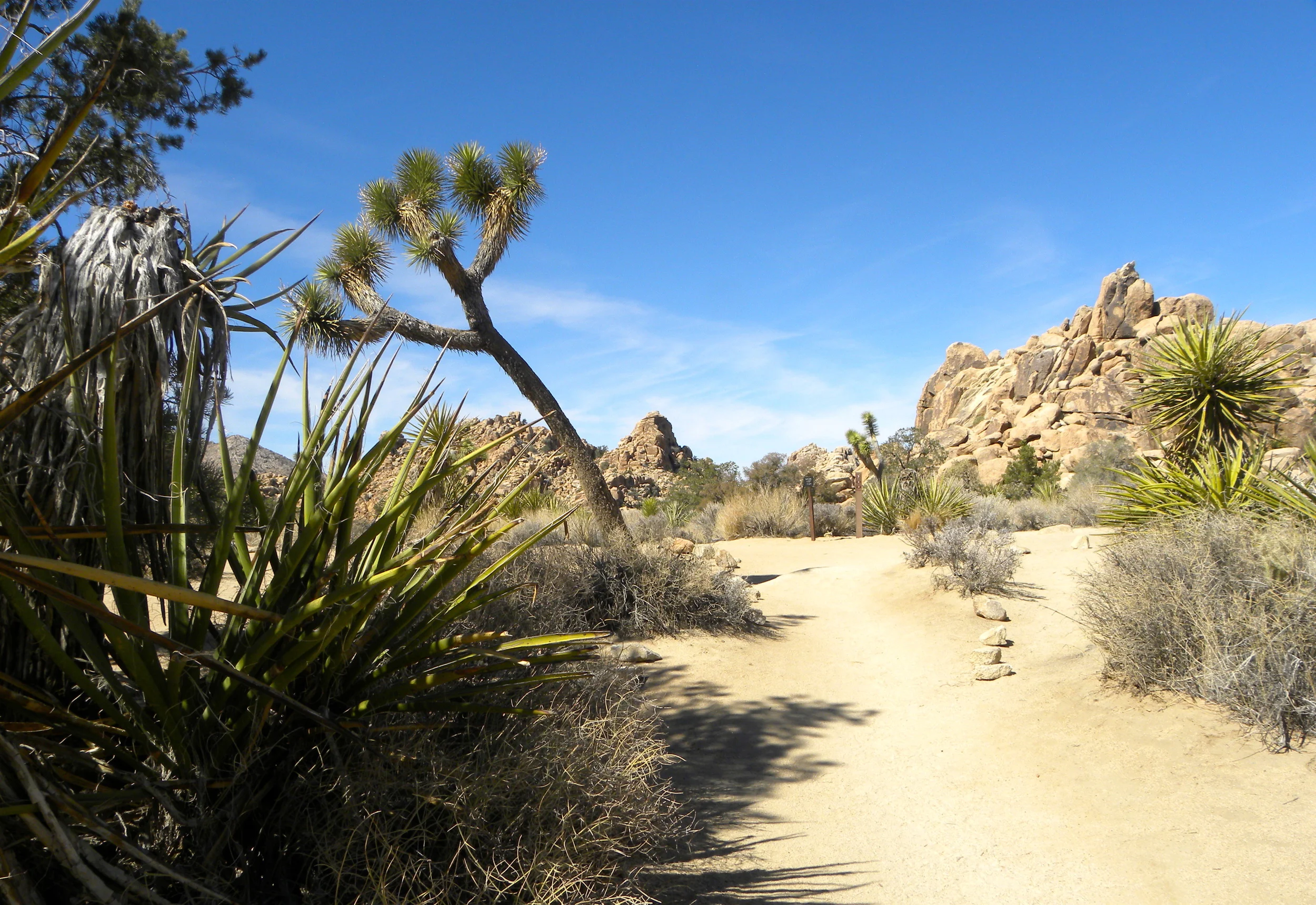 DSCN2032XXSMX 10.JPG