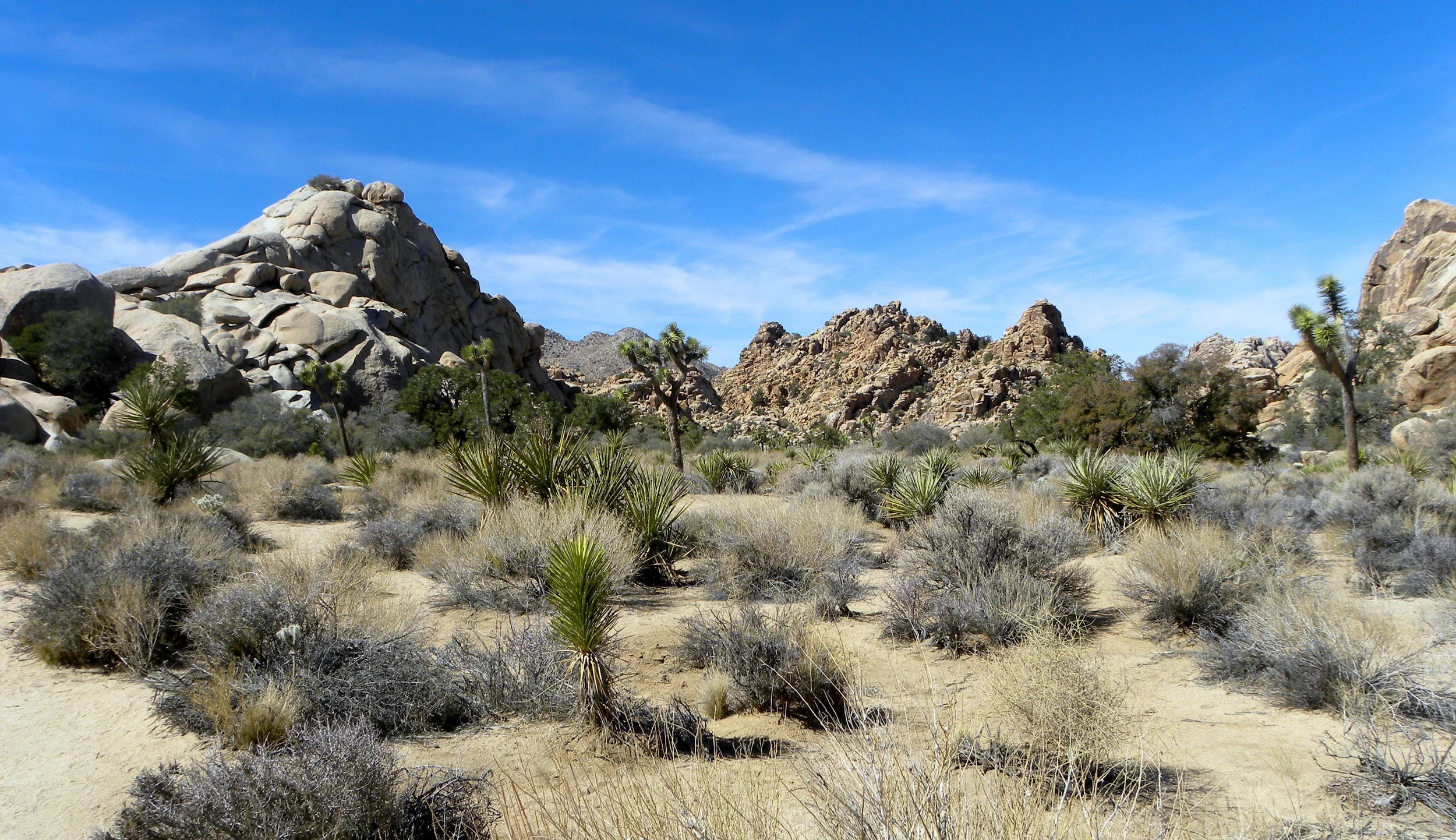 DSCN2032XXSMX 11.JPG