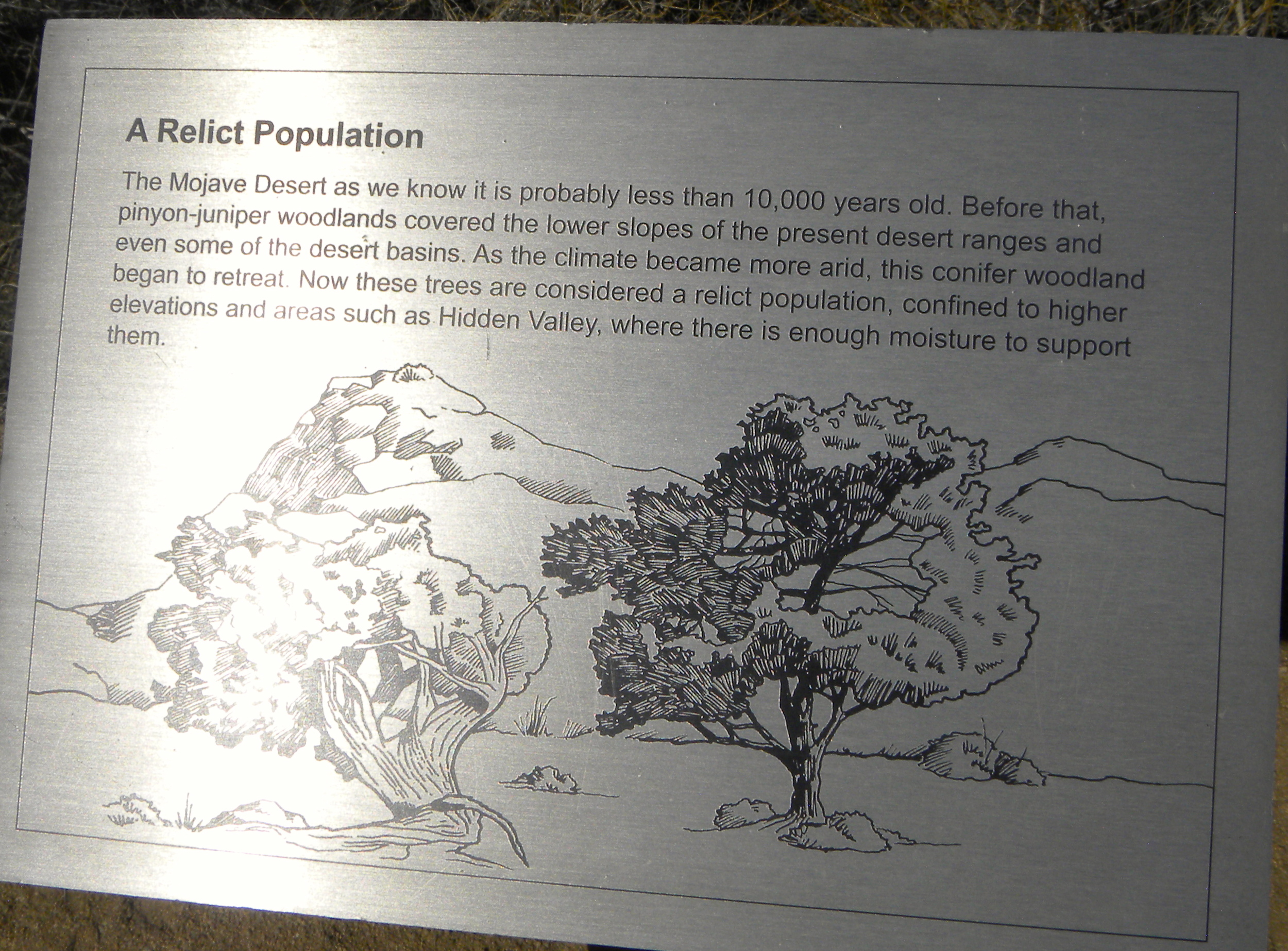 DSCN2032XXSMX 12.JPG