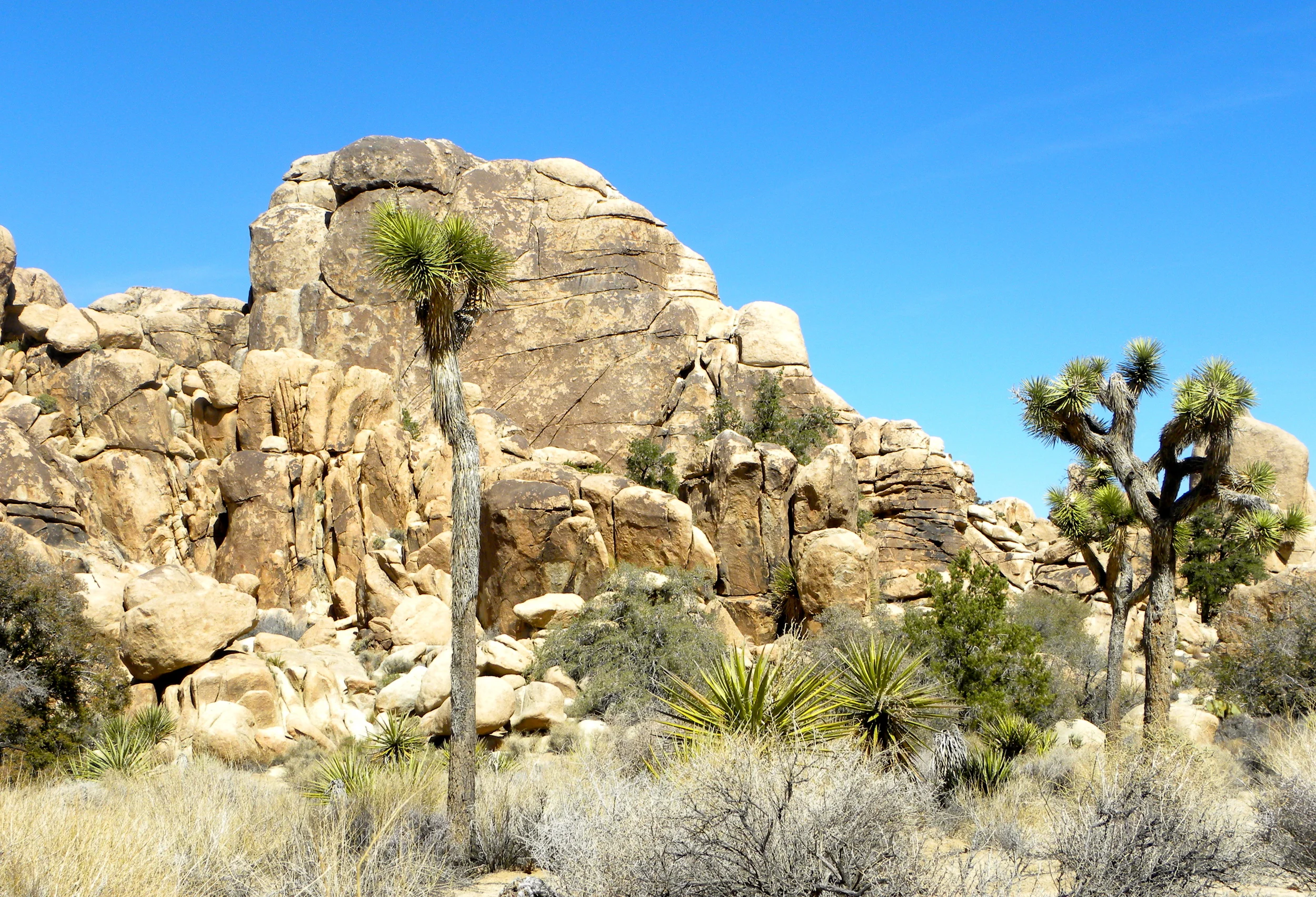 DSCN2032XXSMX 13.JPG