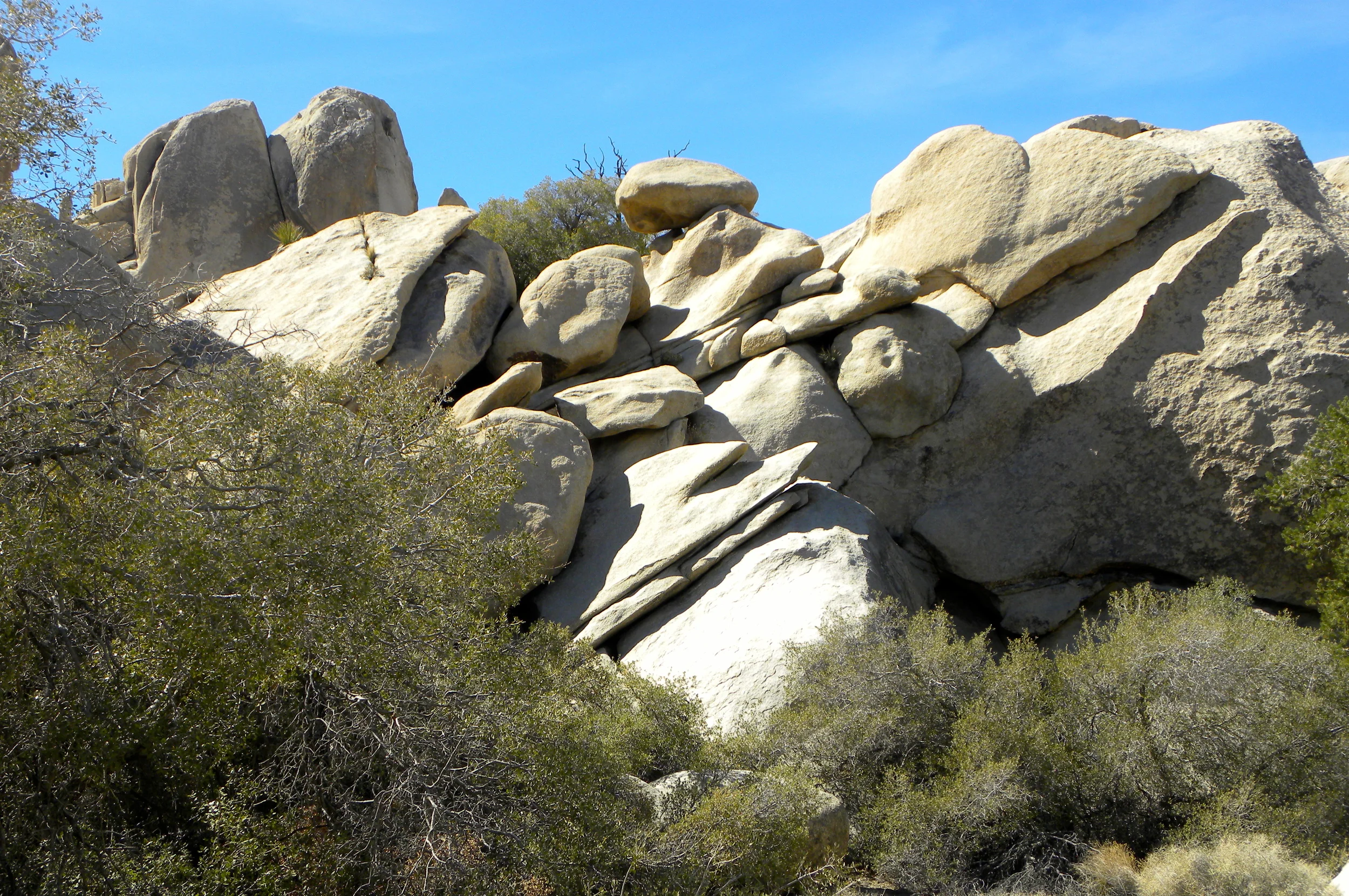 DSCN2032XXSMX 14.JPG