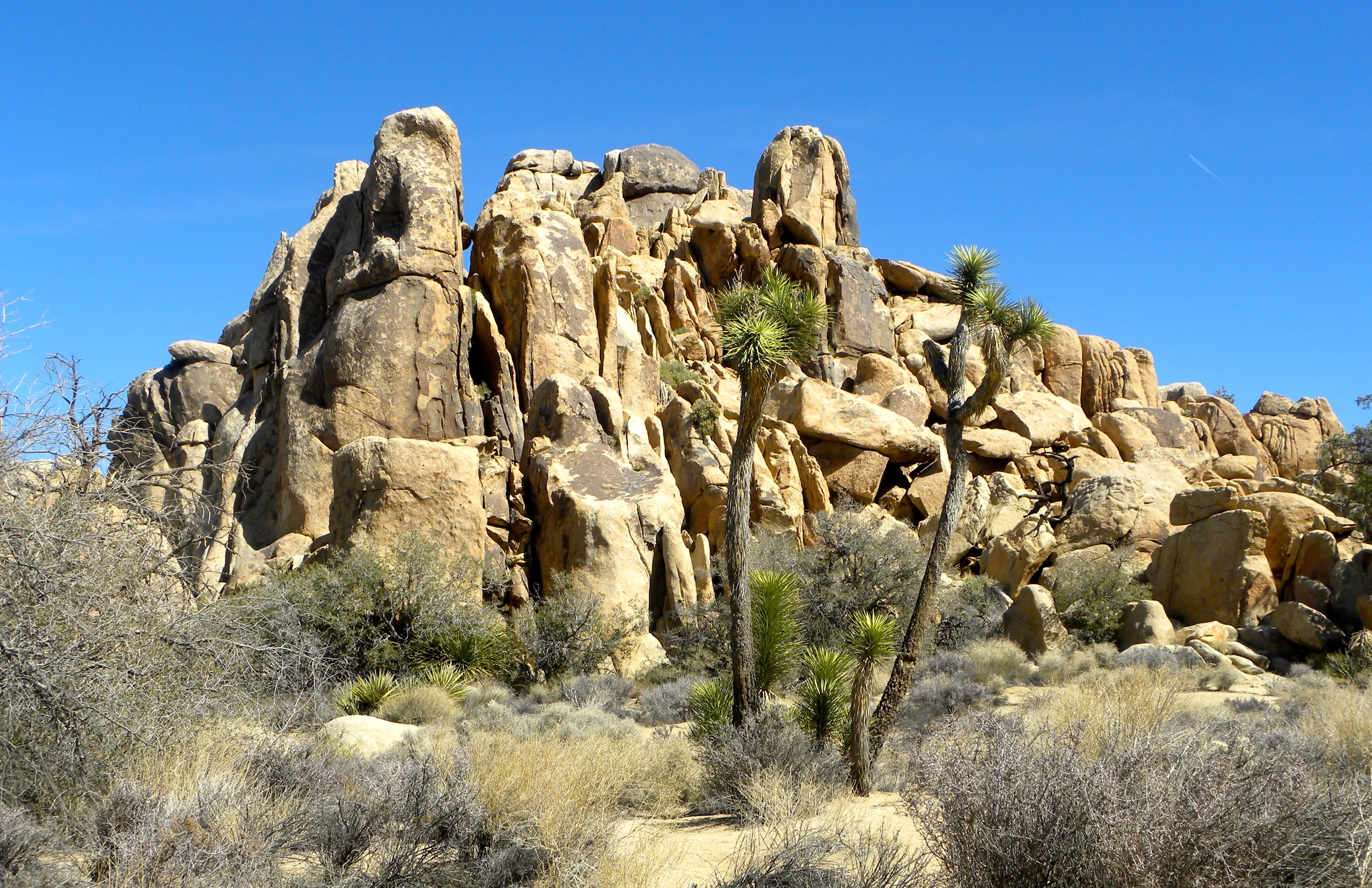 DSCN2032XXSMX 16.JPG