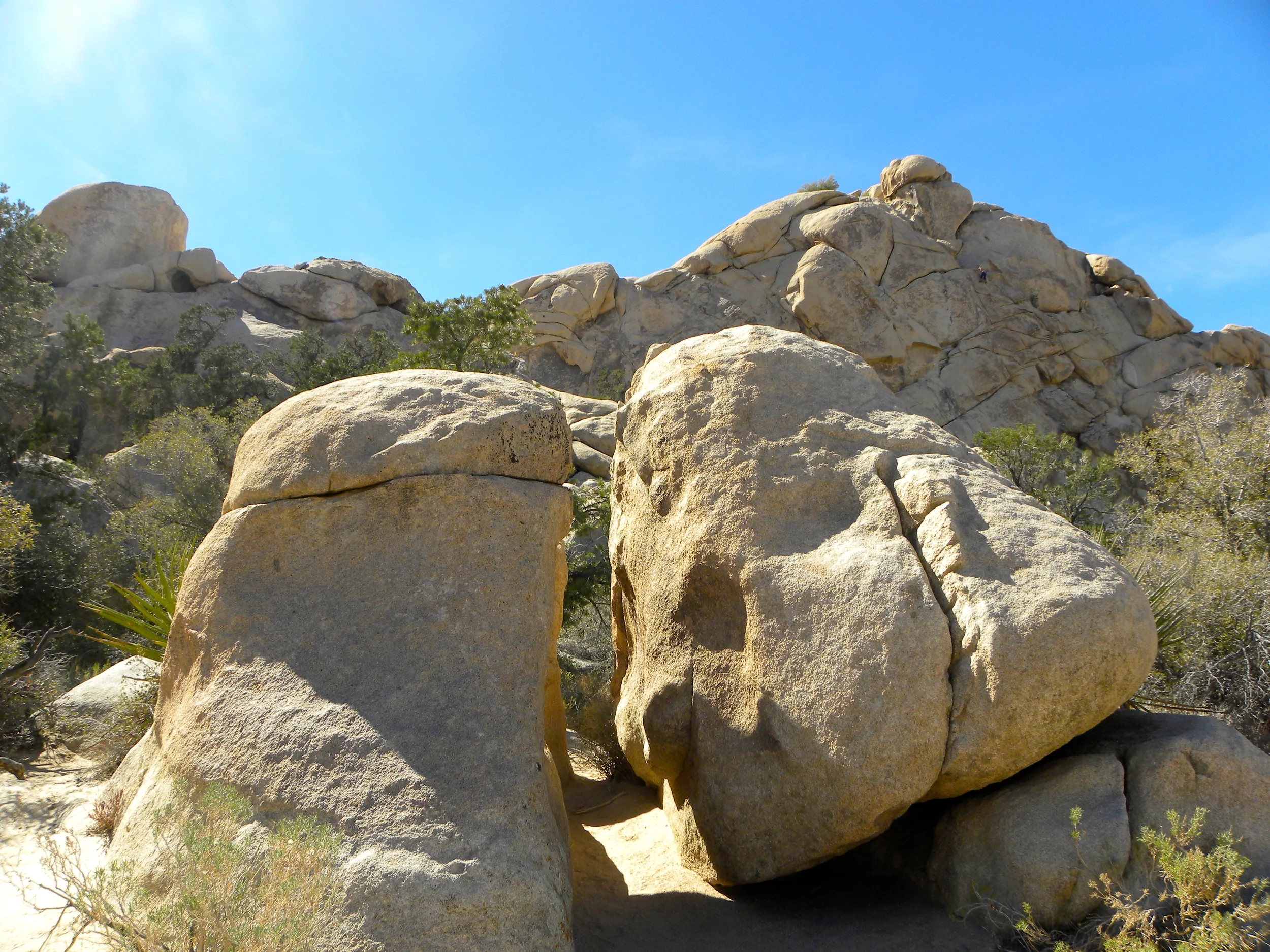 DSCN2032XXSMX 17.JPG