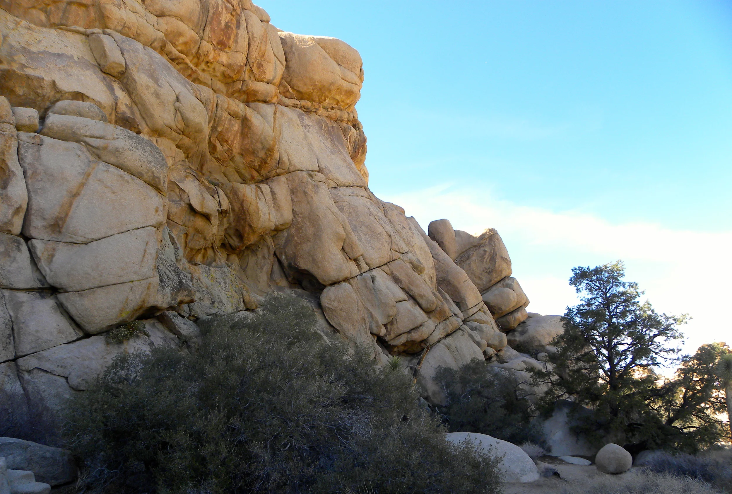 DSCN2032XXSMX 19.JPG