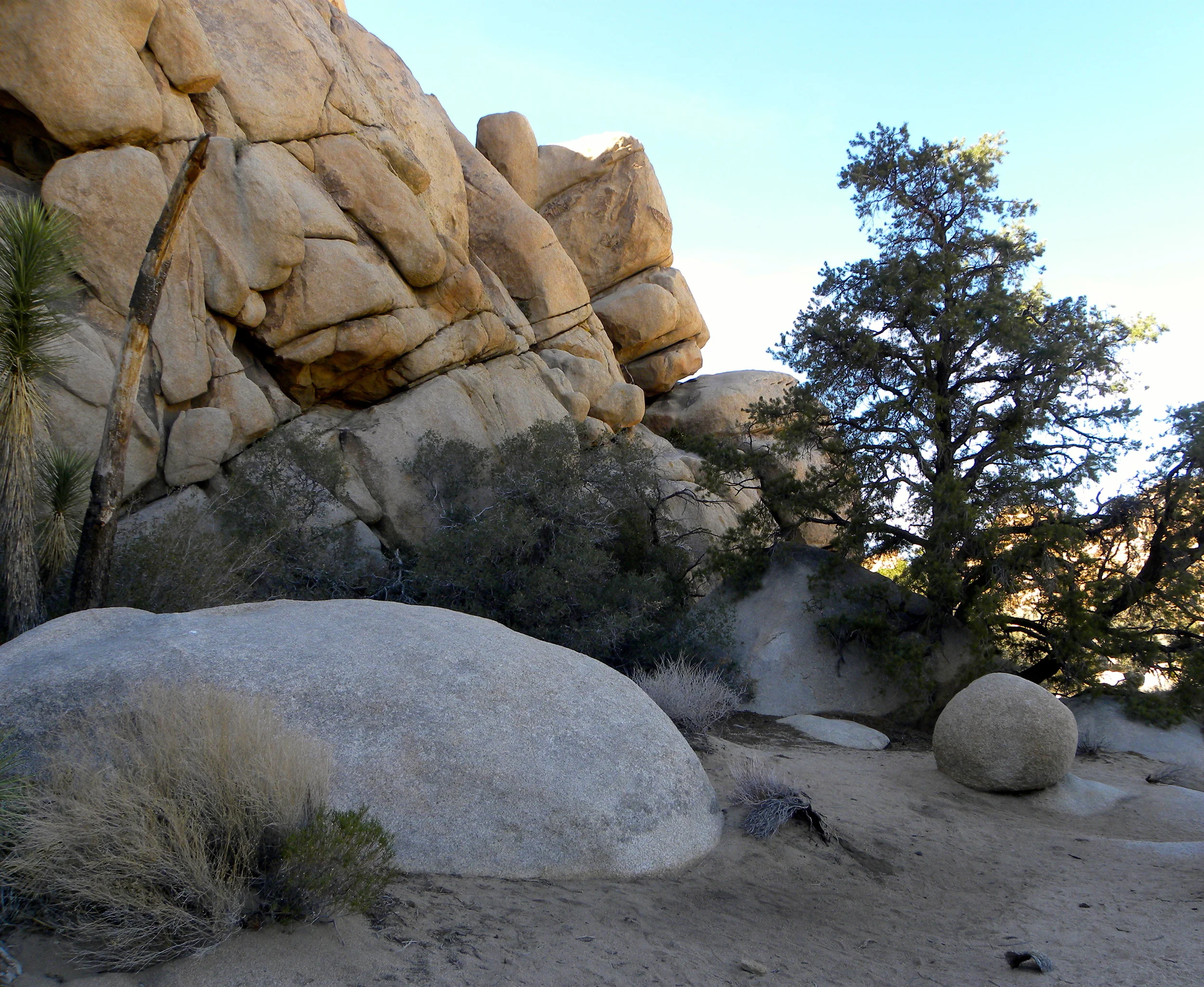 DSCN2032XXSMX 20.JPG