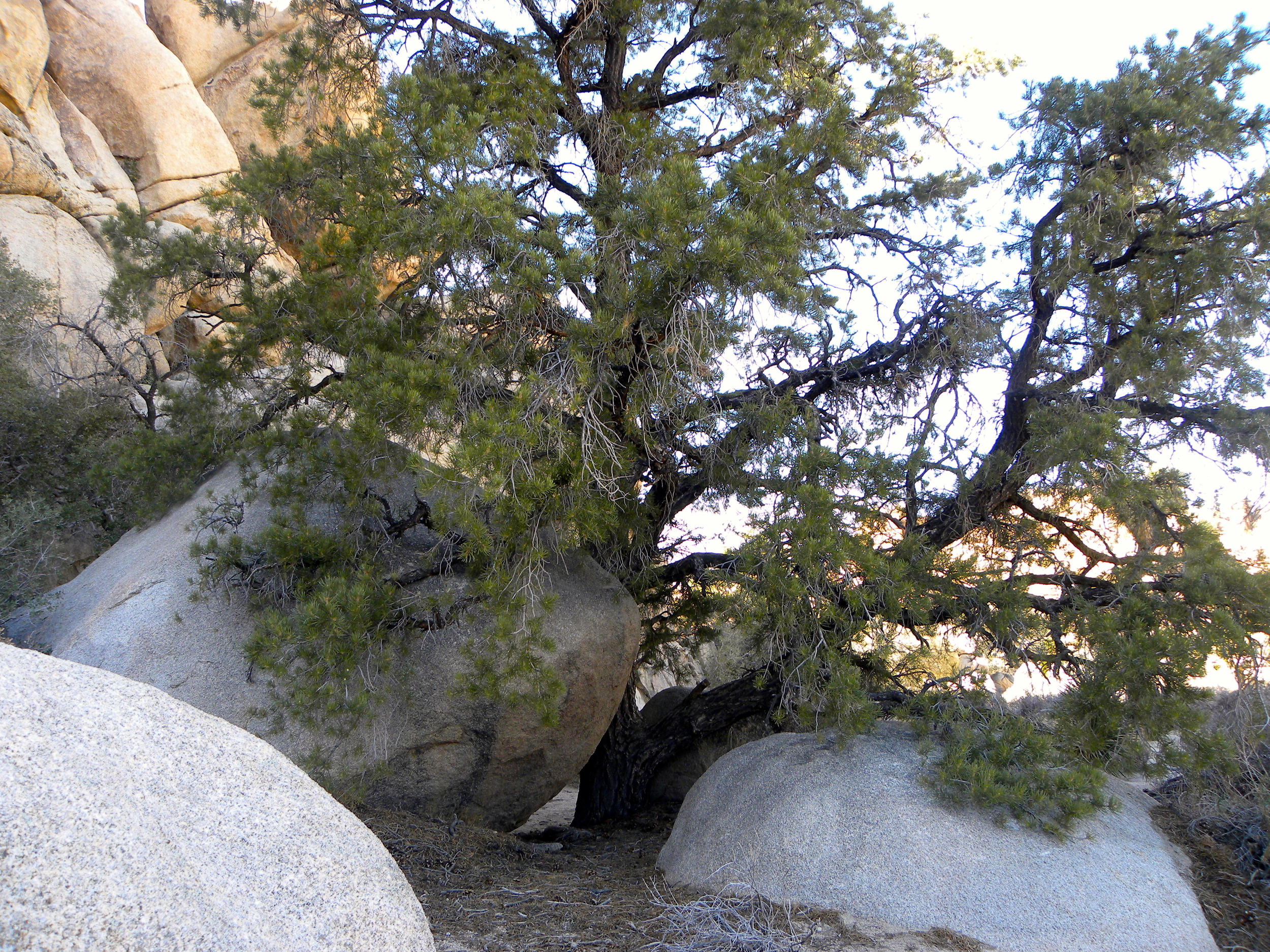 DSCN2032XXSMX 21.JPG