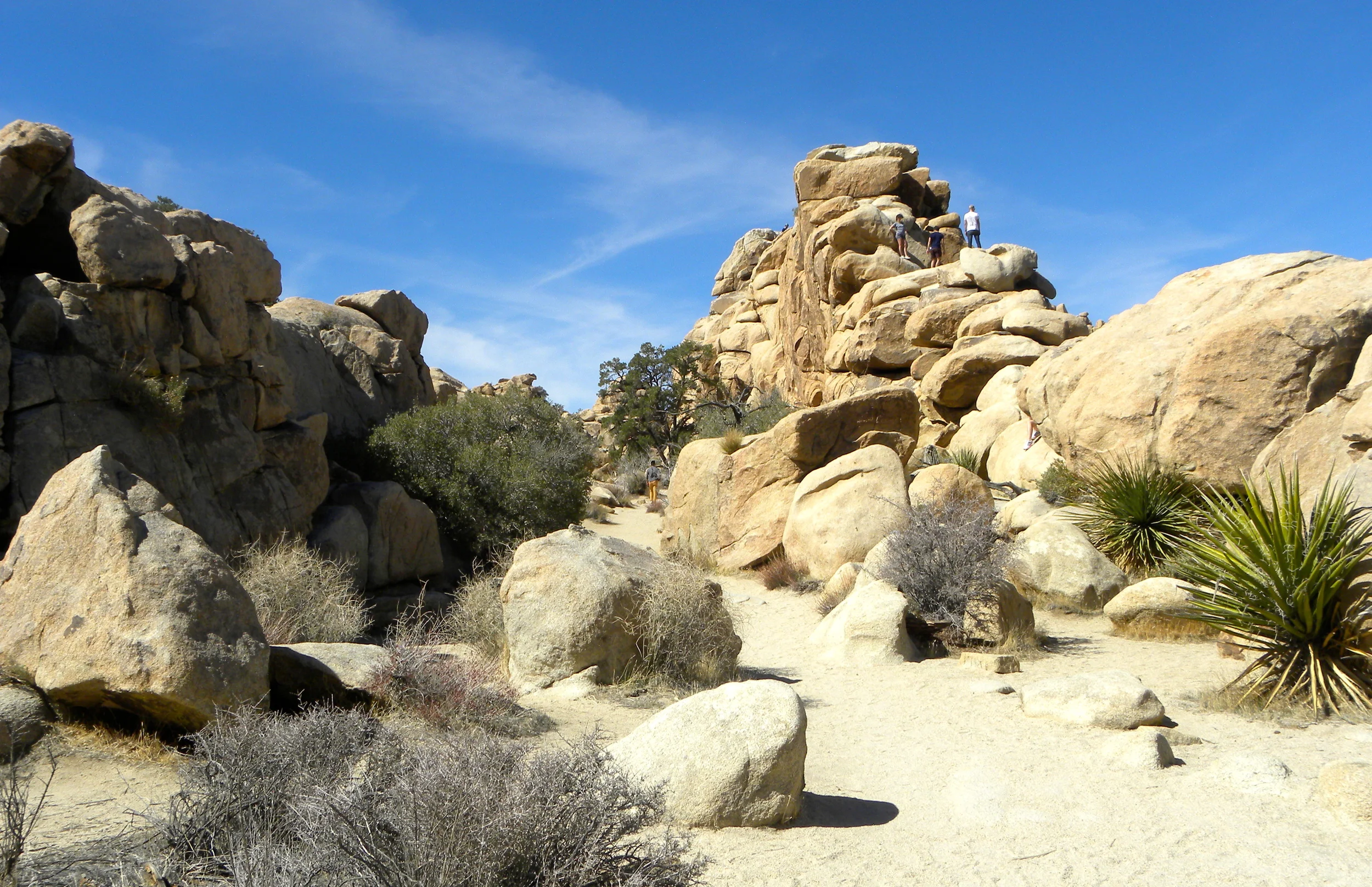 DSCN2032XXSMX 23.JPG