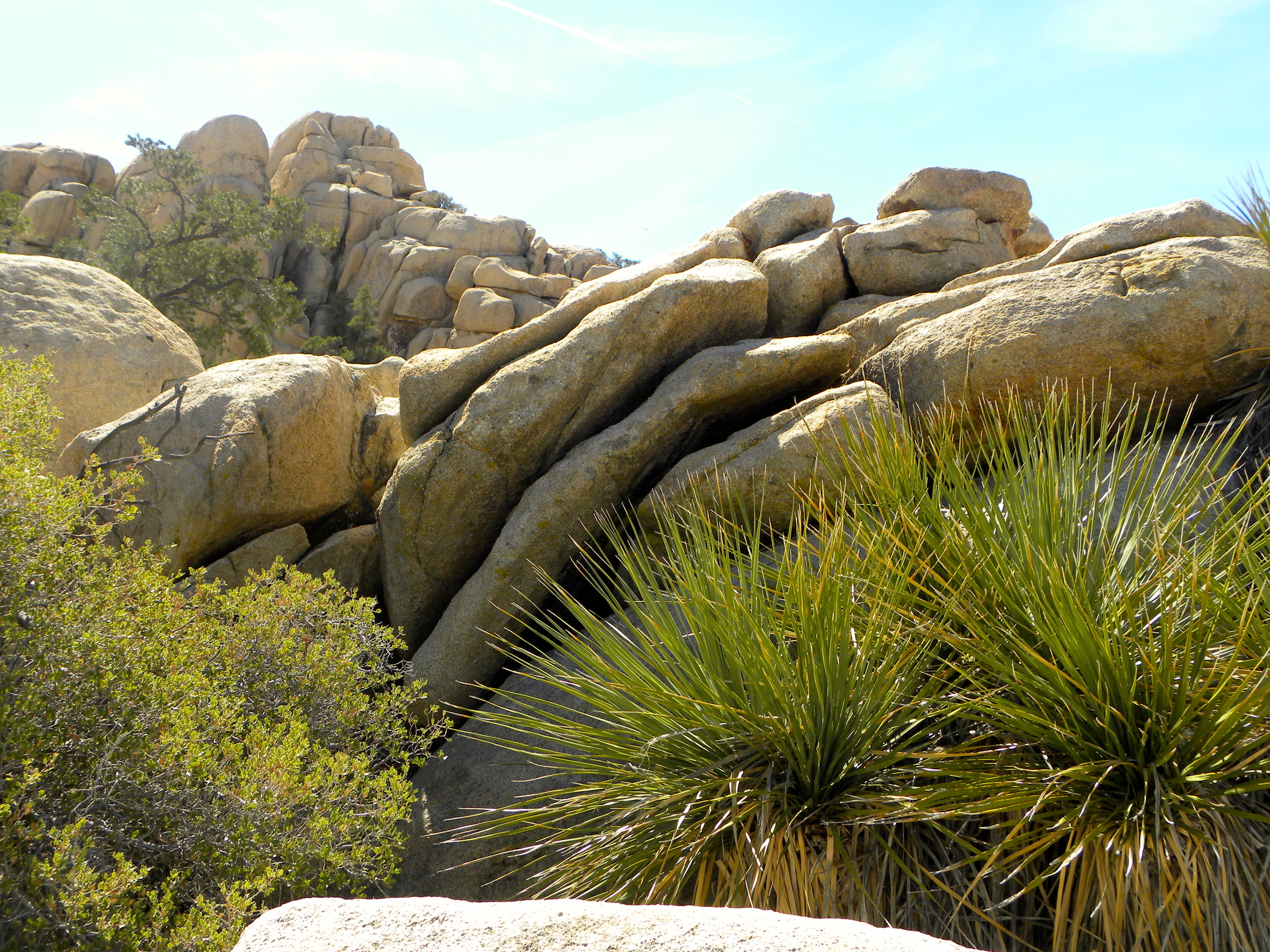 DSCN2032XXSMX 24.JPG