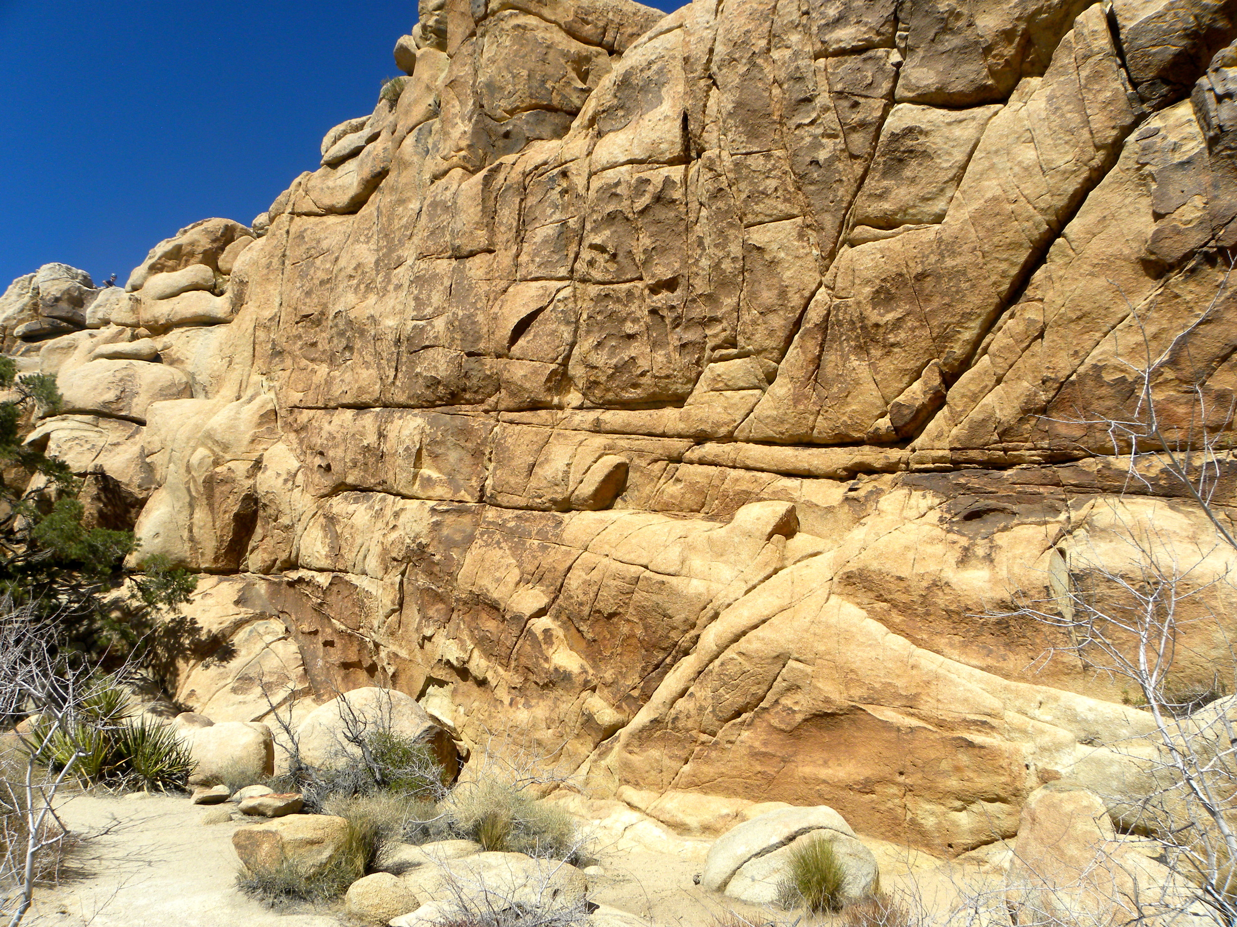 DSCN2032XXSMX 25.JPG