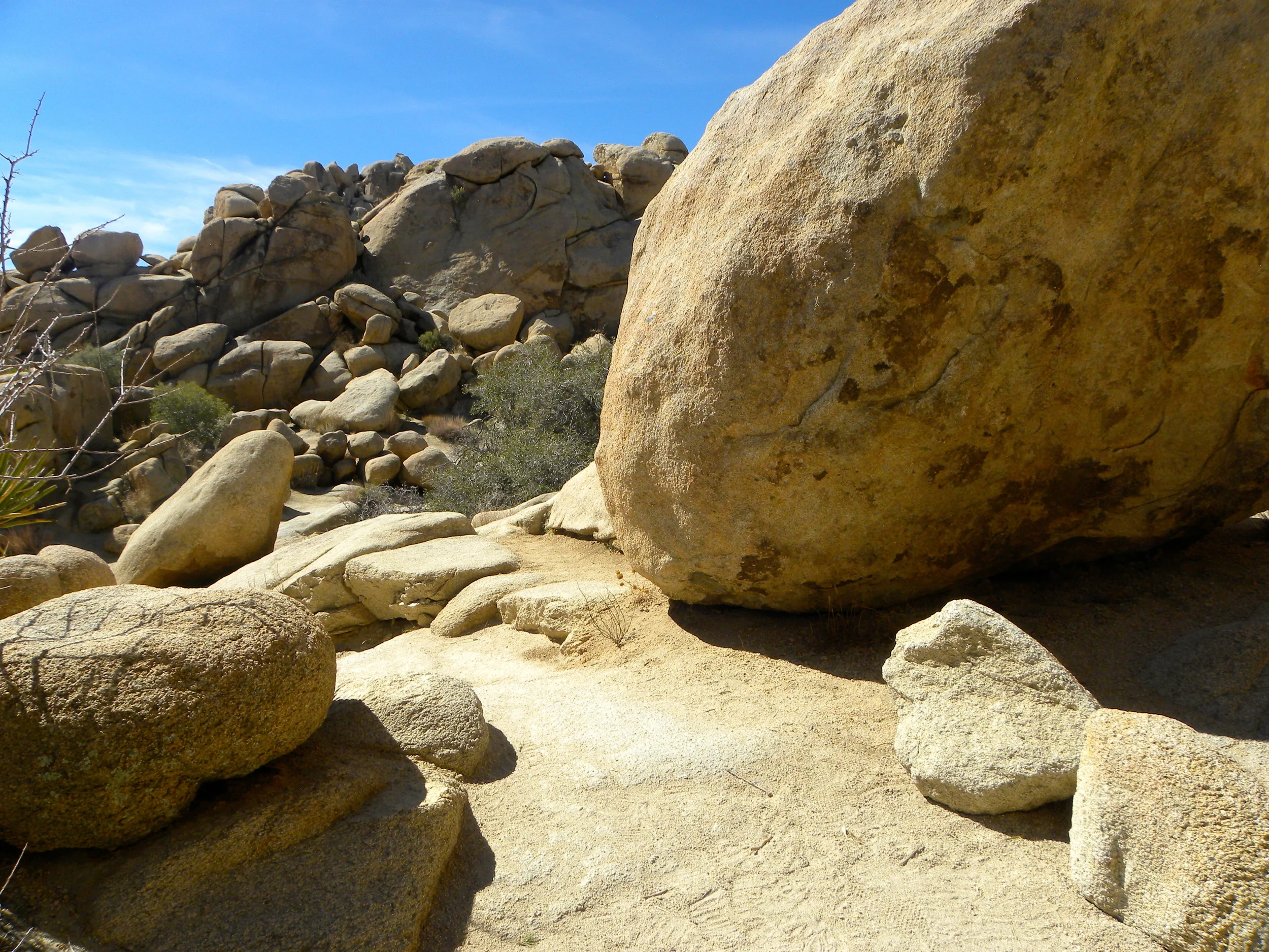 DSCN2032XXSMX 26.JPG