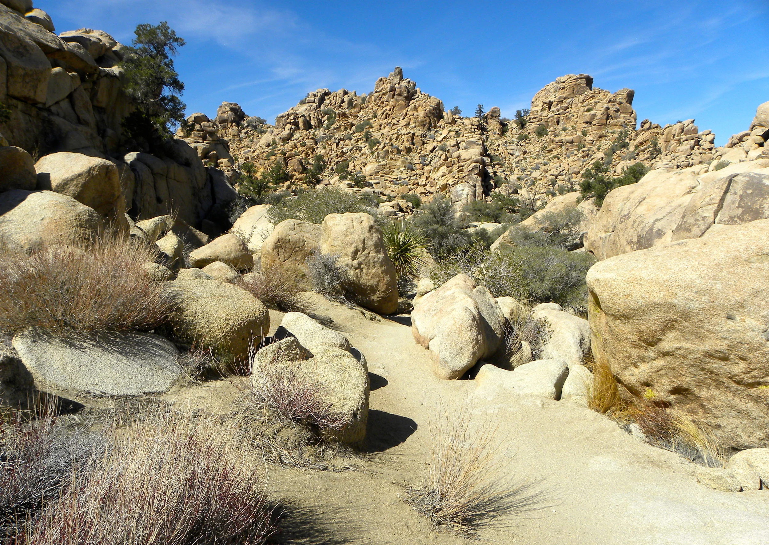 DSCN2032XXSMX 28.JPG