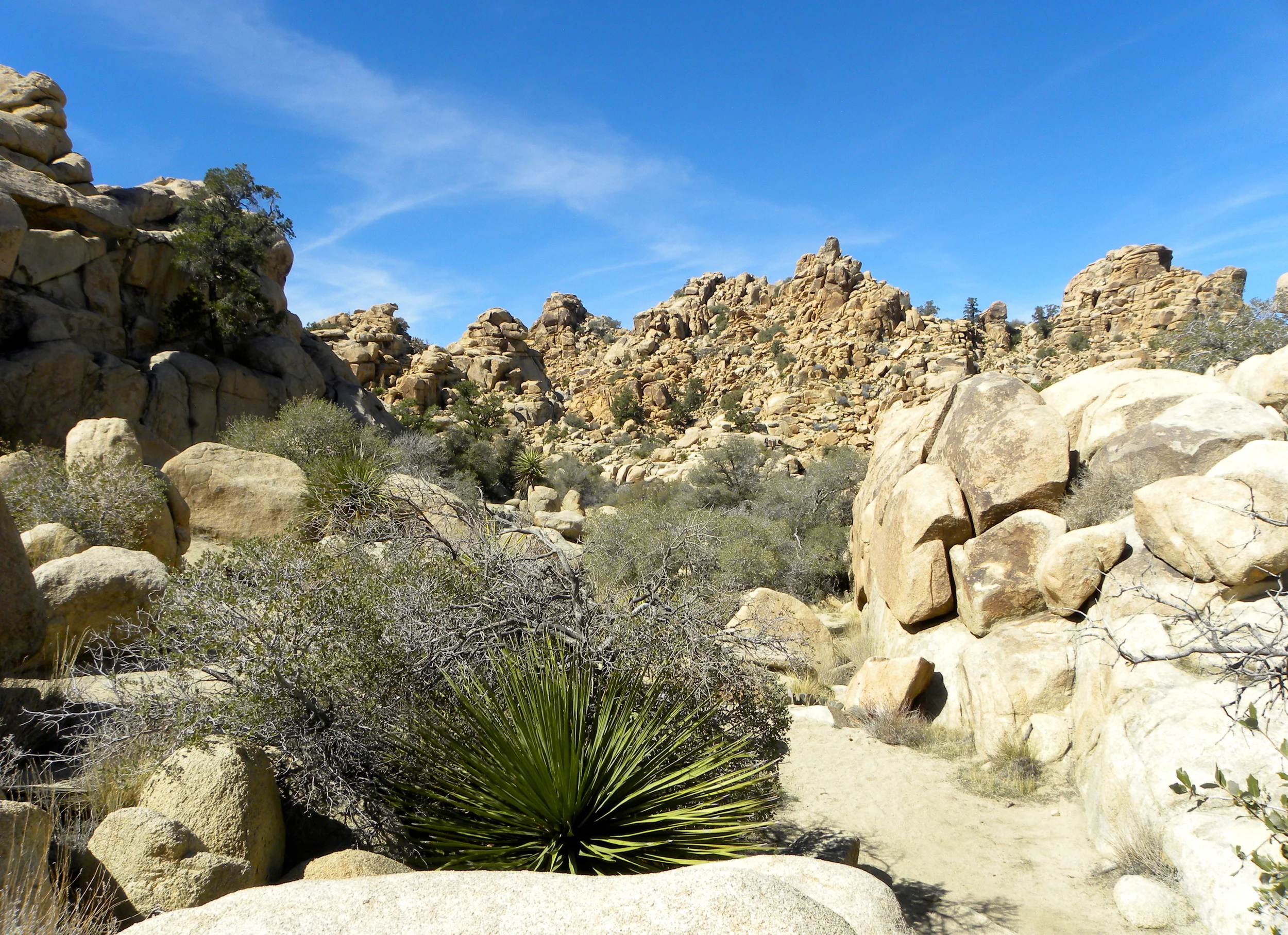 DSCN2032XXSMX 27.JPG