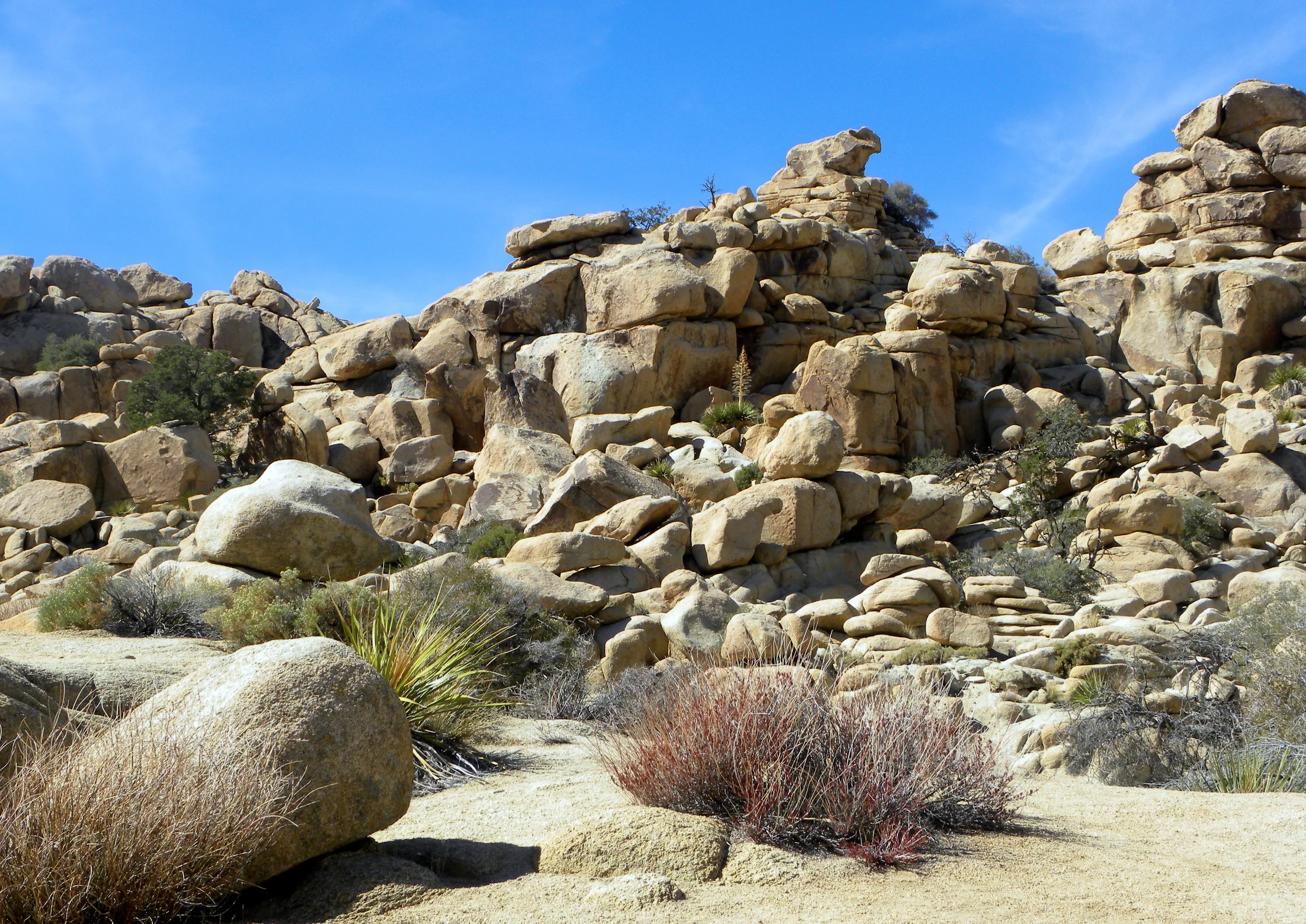 DSCN2032XXSMX 30.JPG