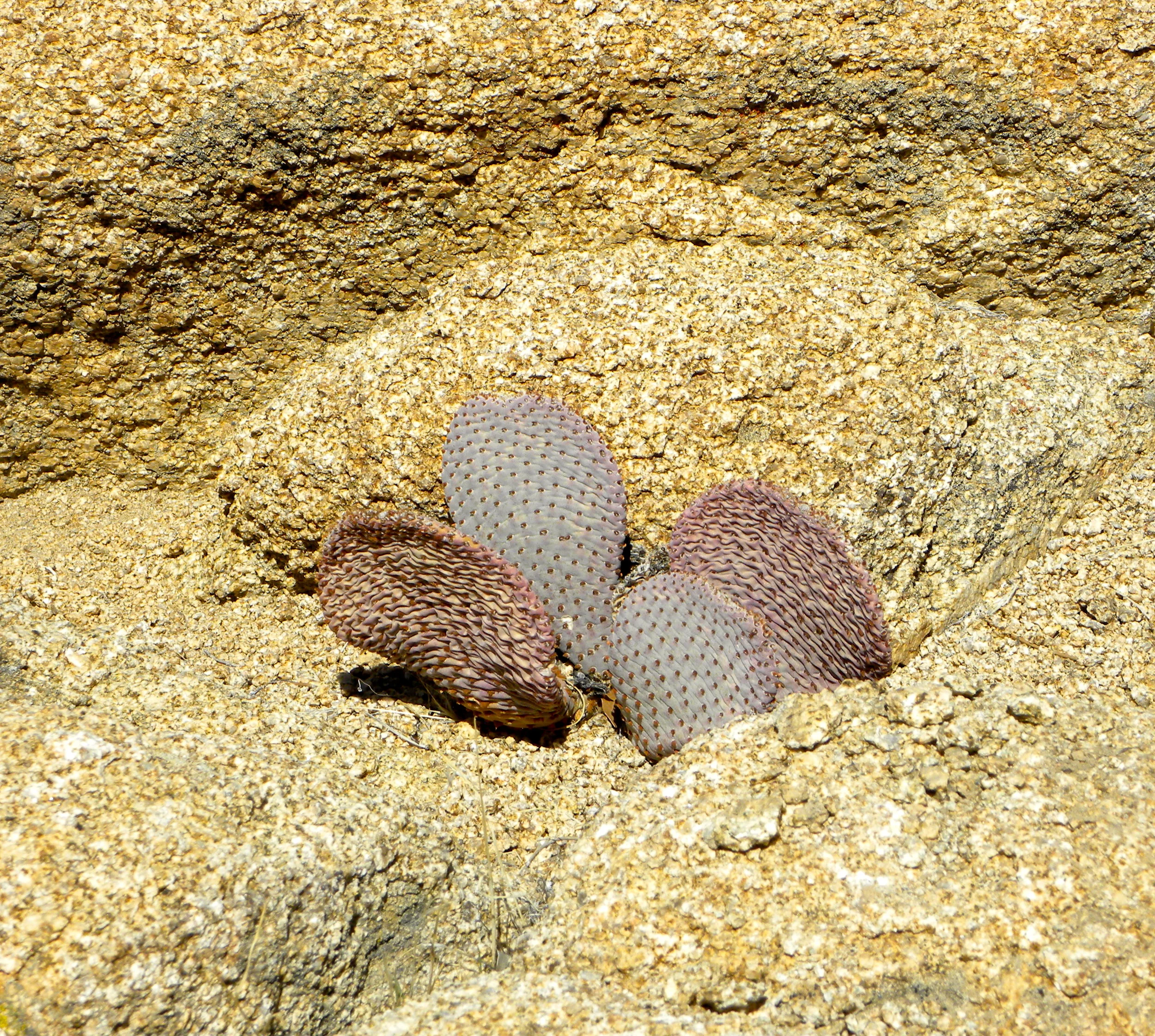 DSCN2032XXSMX 31.JPG