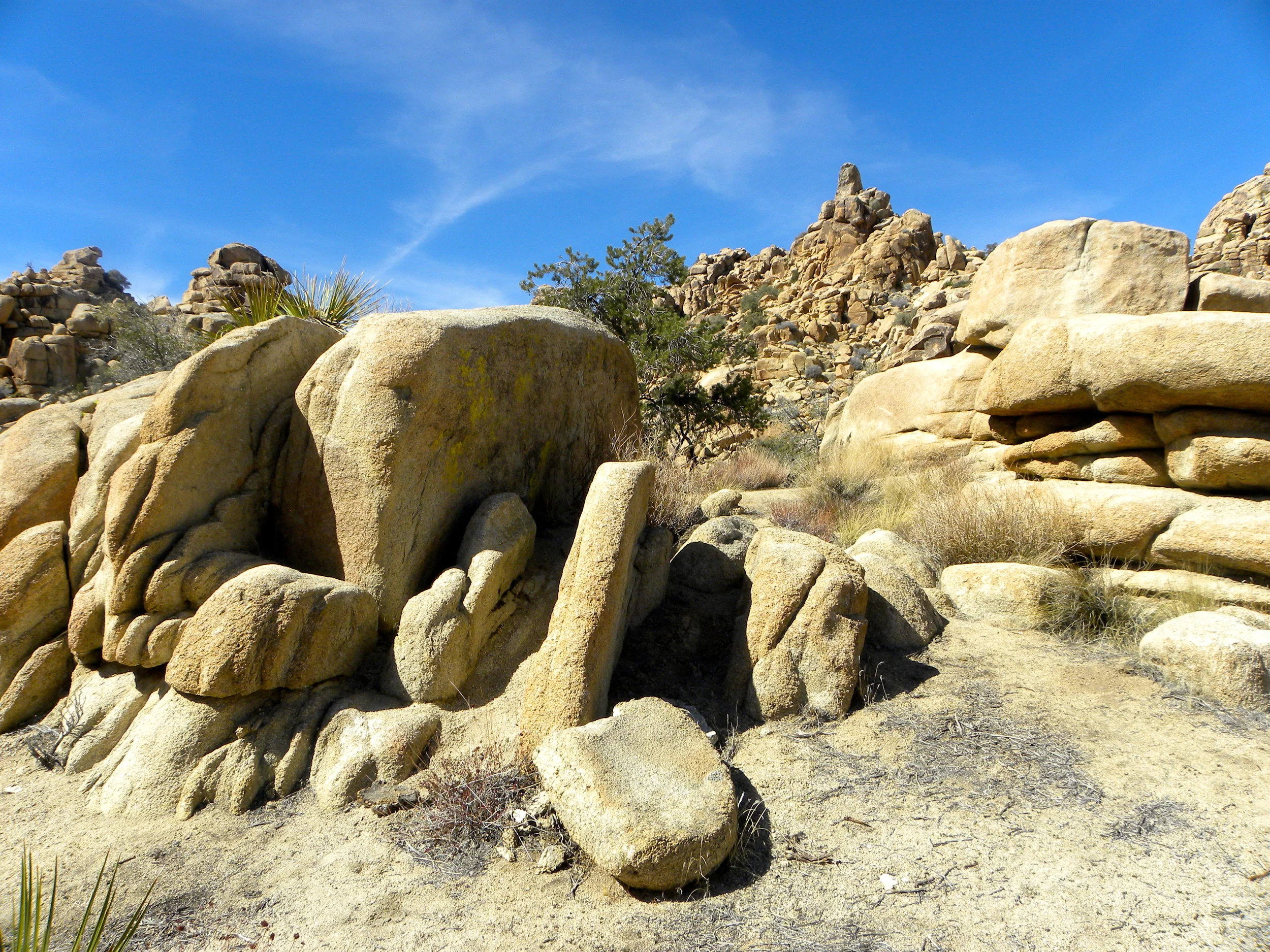 DSCN2032XXSMX 32.JPG