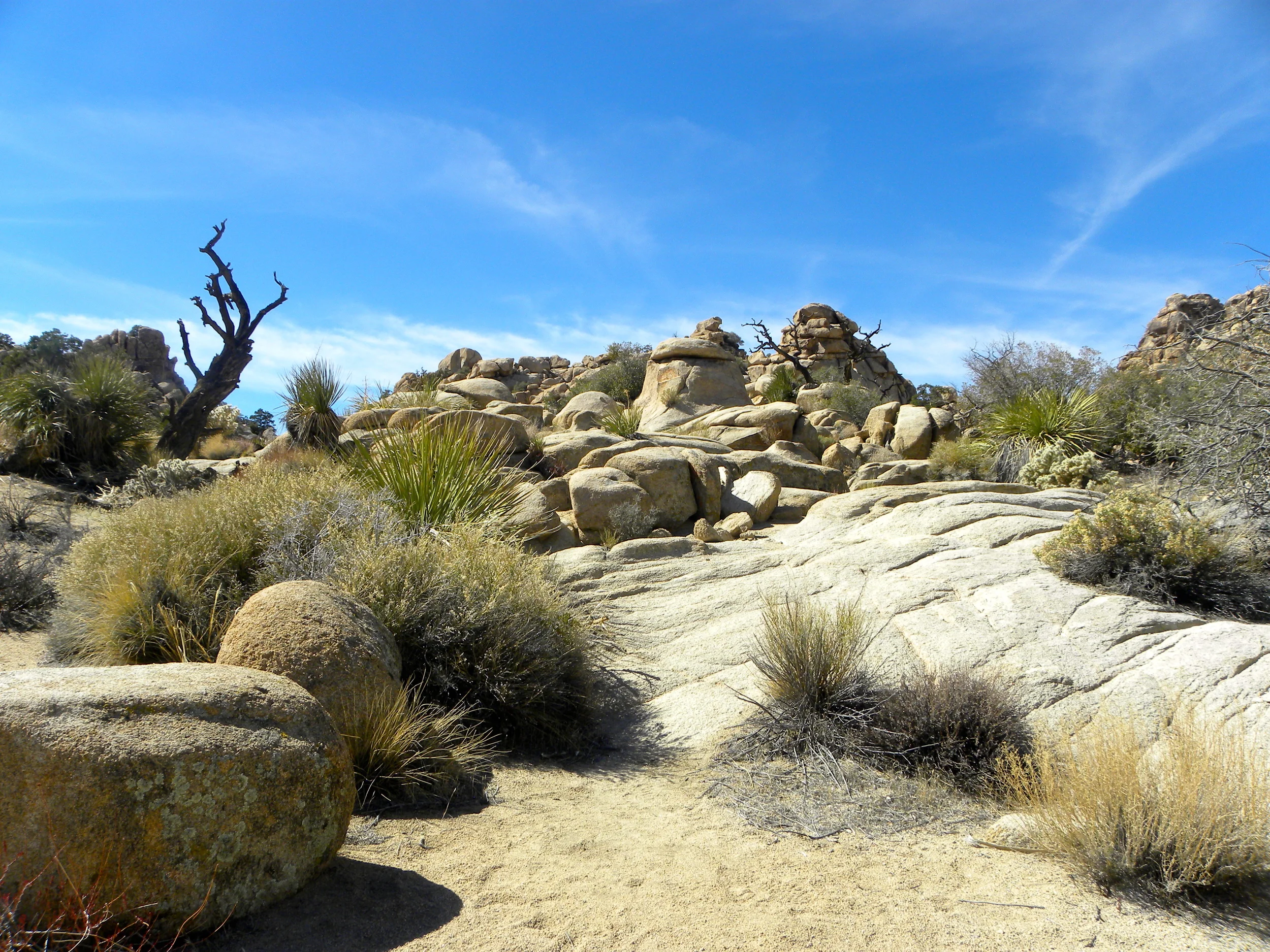 DSCN2032XXSMX 34.JPG