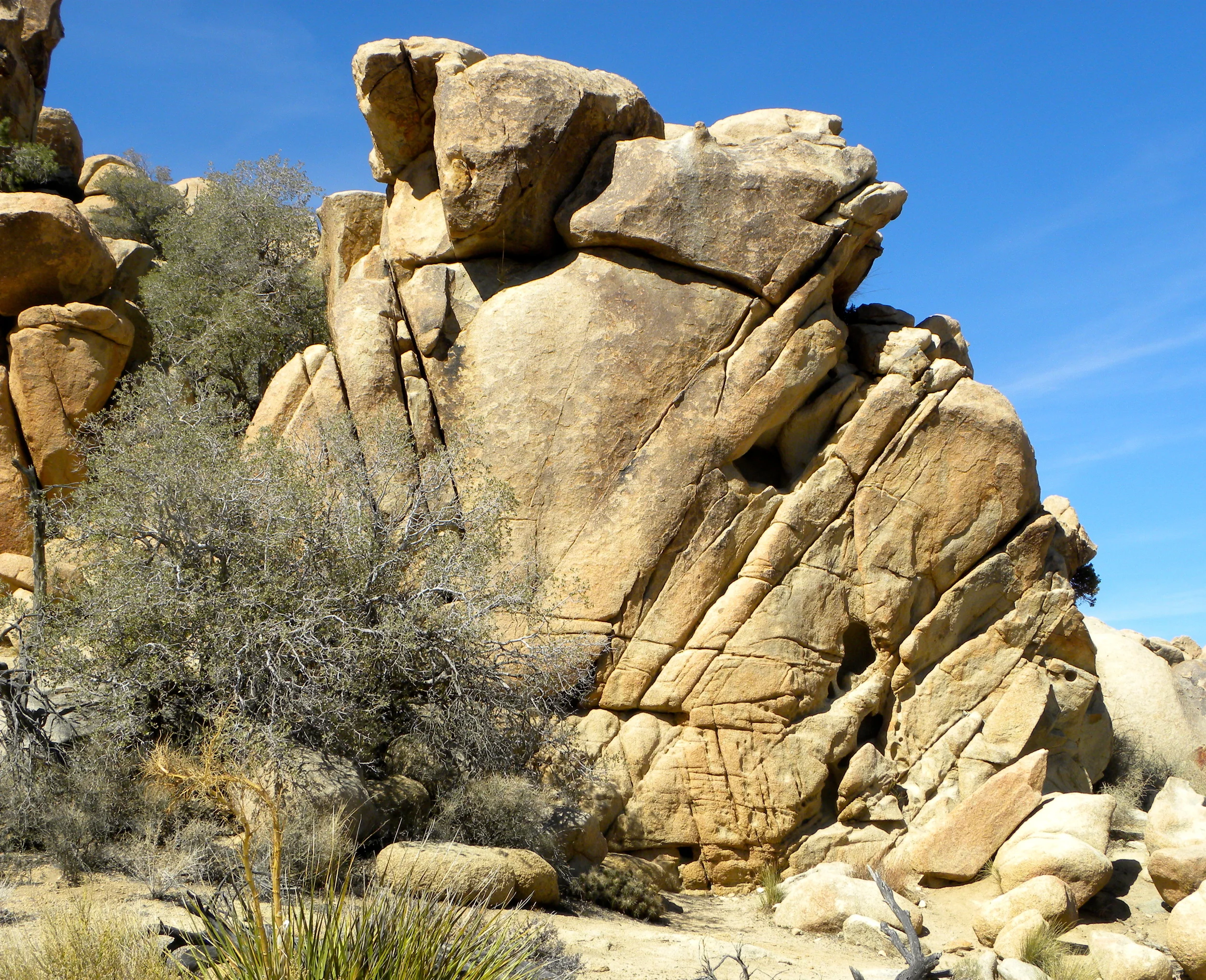 DSCN2032XXSMX 36.JPG