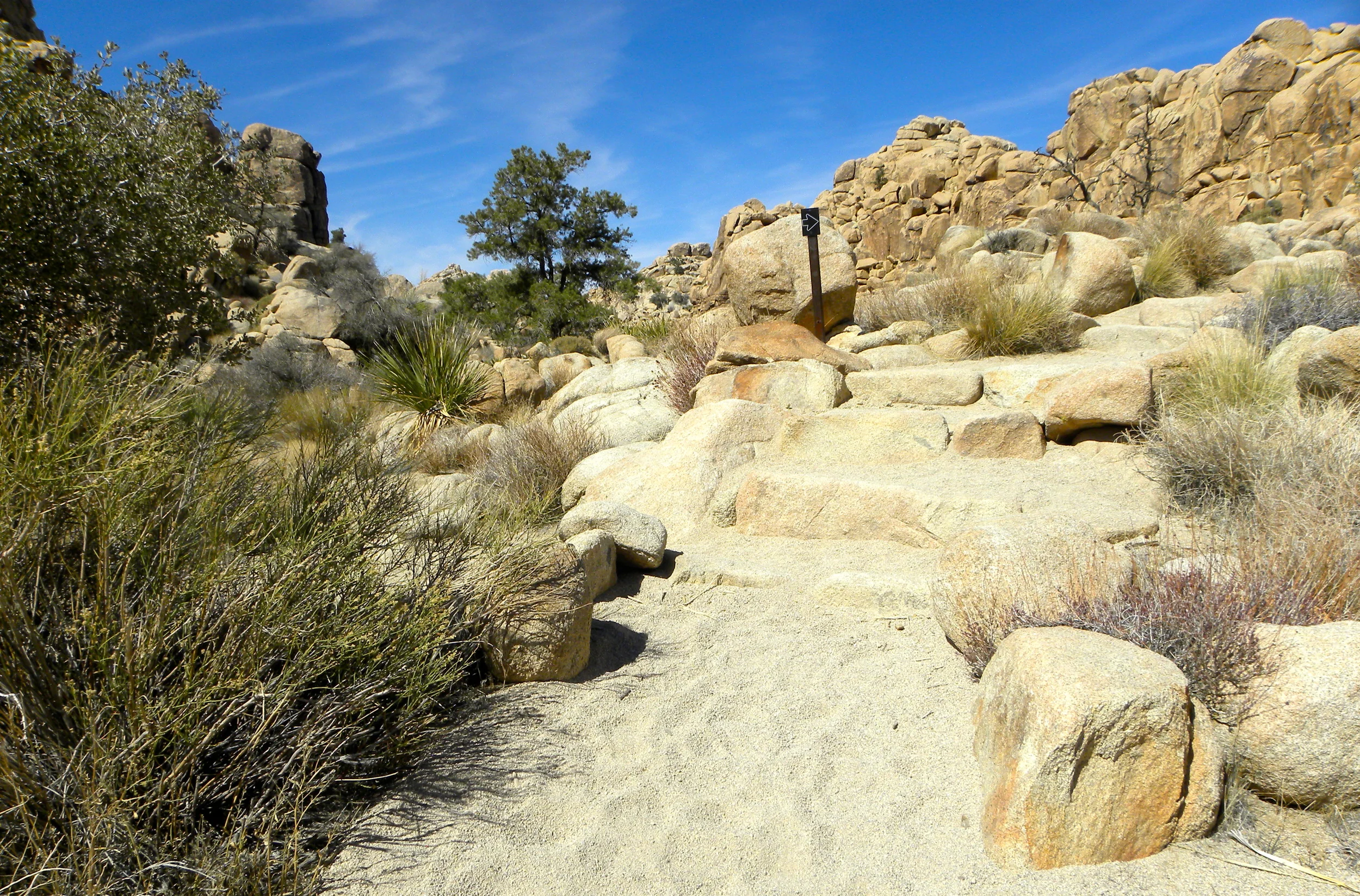 DSCN2032XXSMX 37.JPG