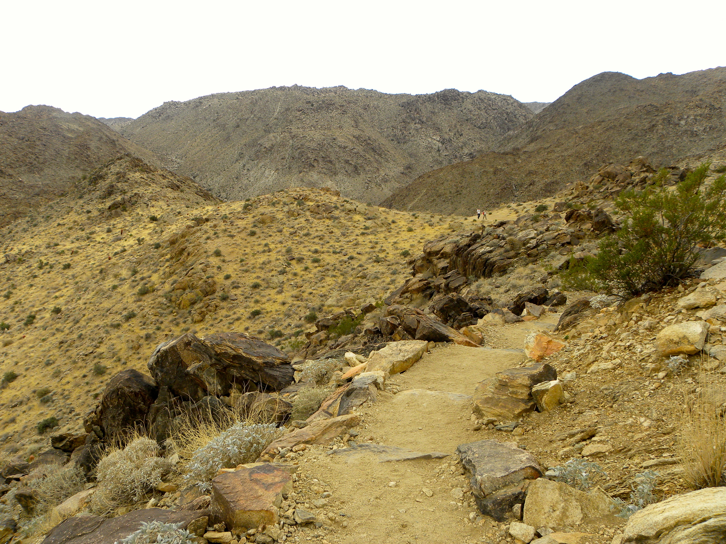 DSCN2032XXSMx 10.JPG