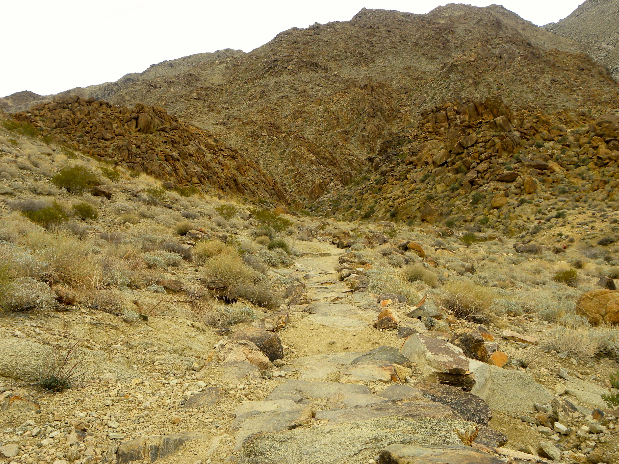 DSCN2032XXSMx 12.JPG