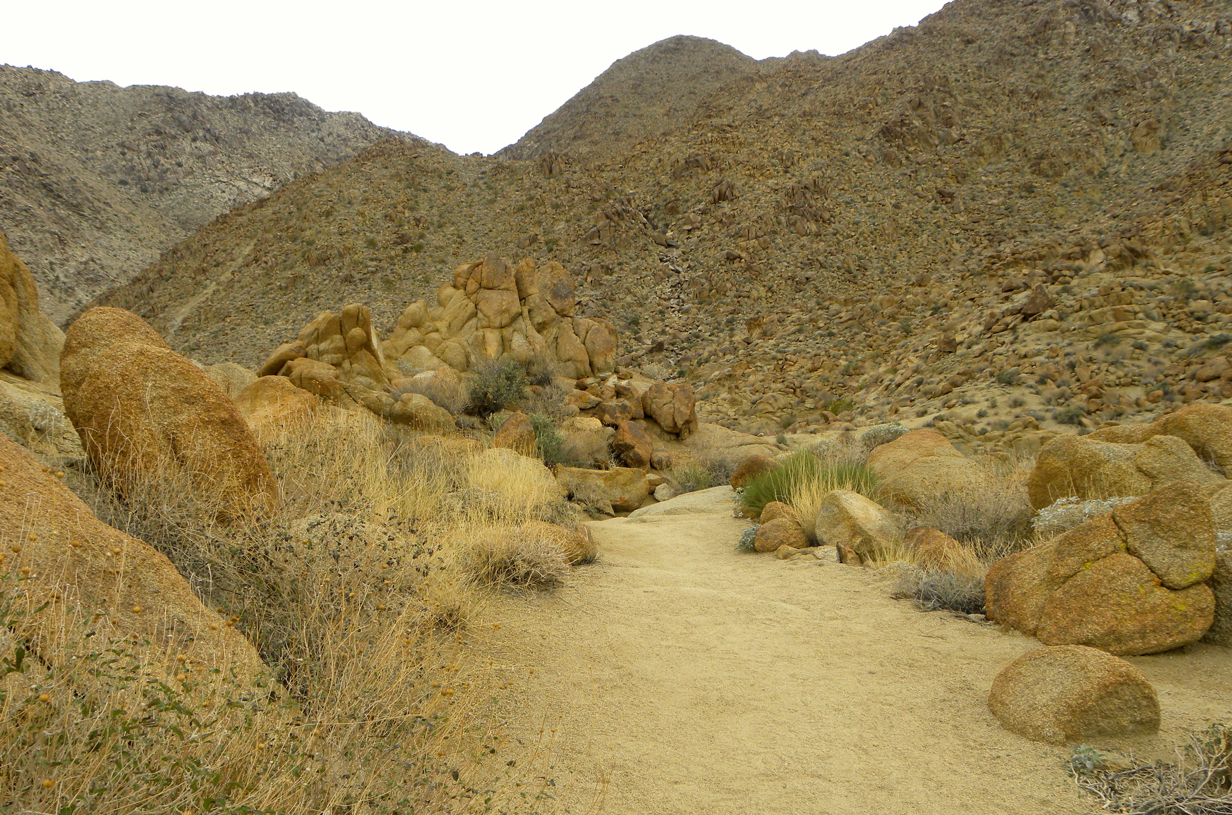 DSCN2032XXSMx 13.JPG