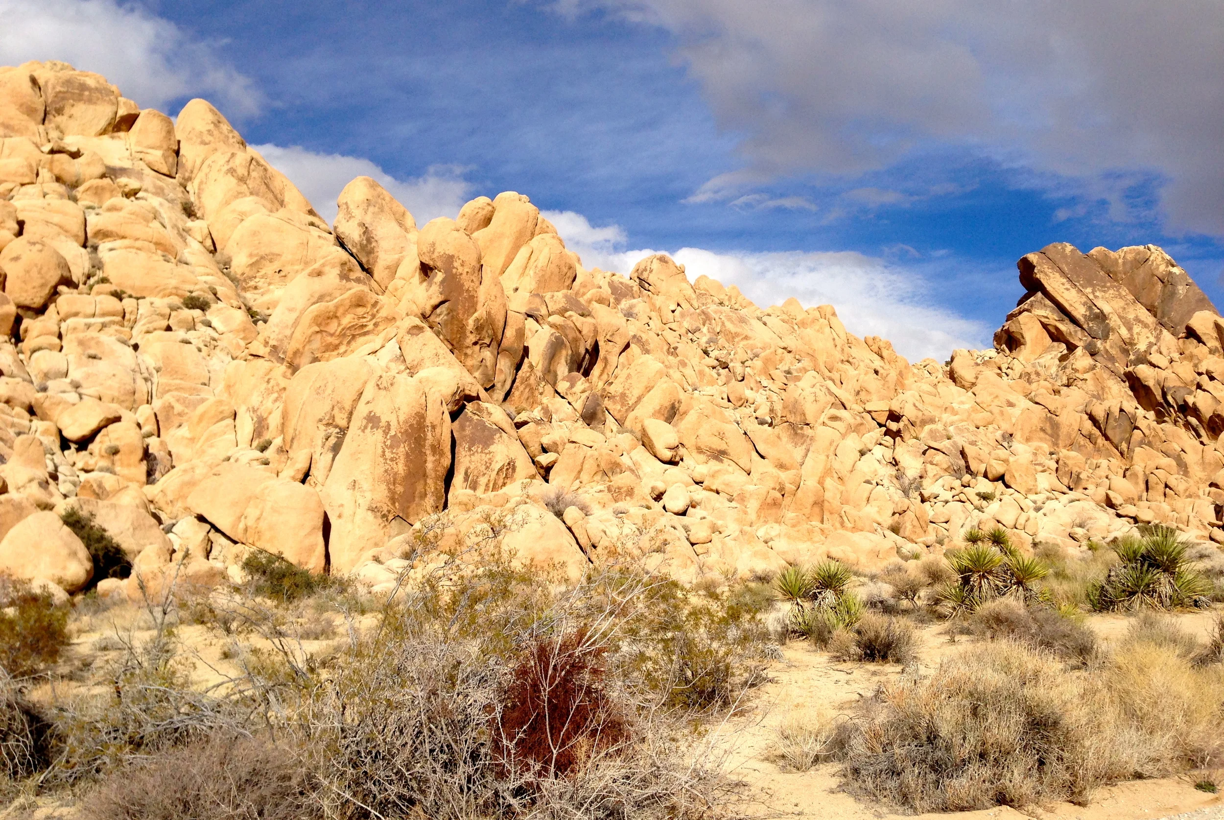 DSCN2032XXSMx 15.JPG