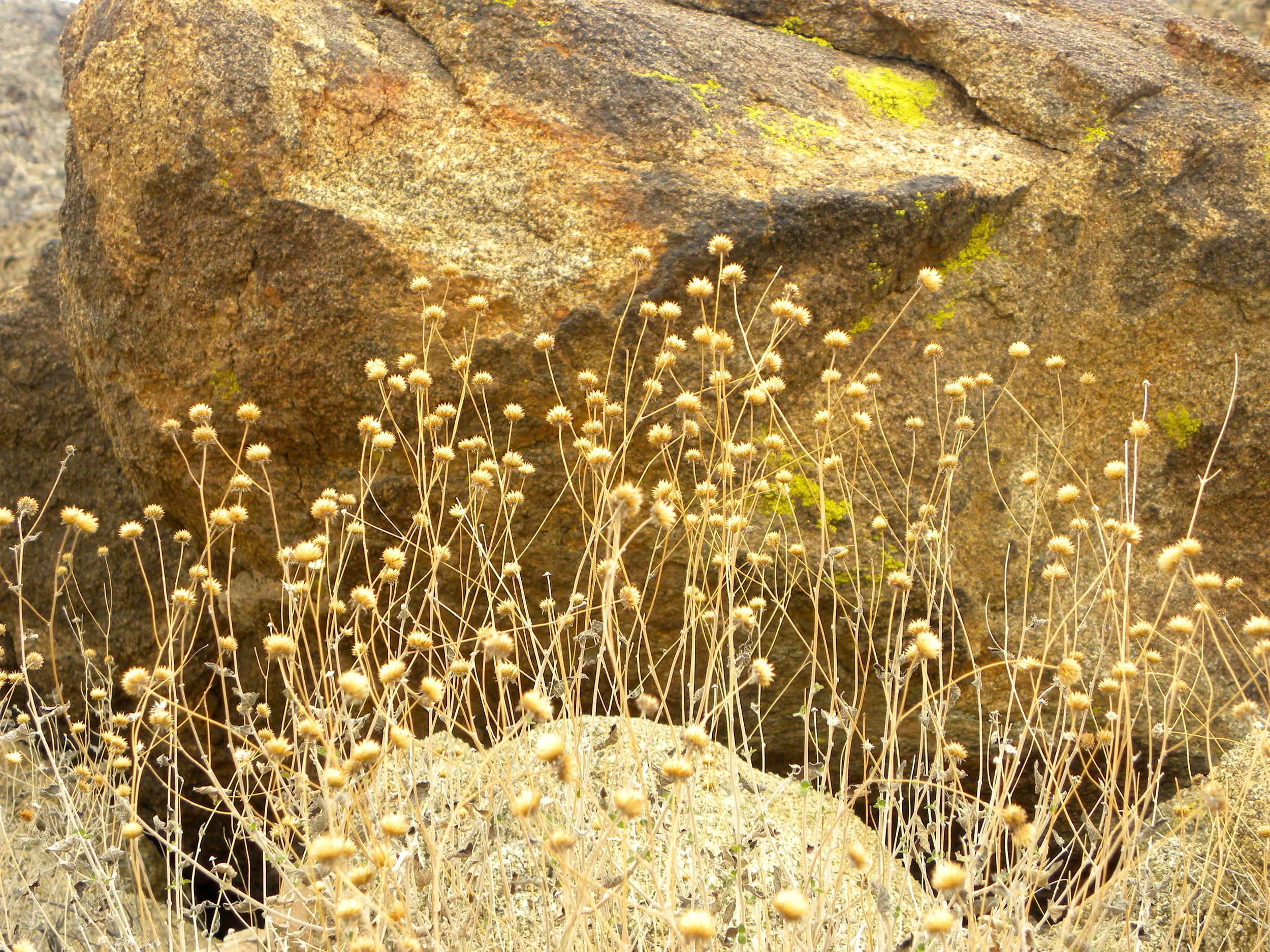 DSCN2032XXSMx 16.JPG