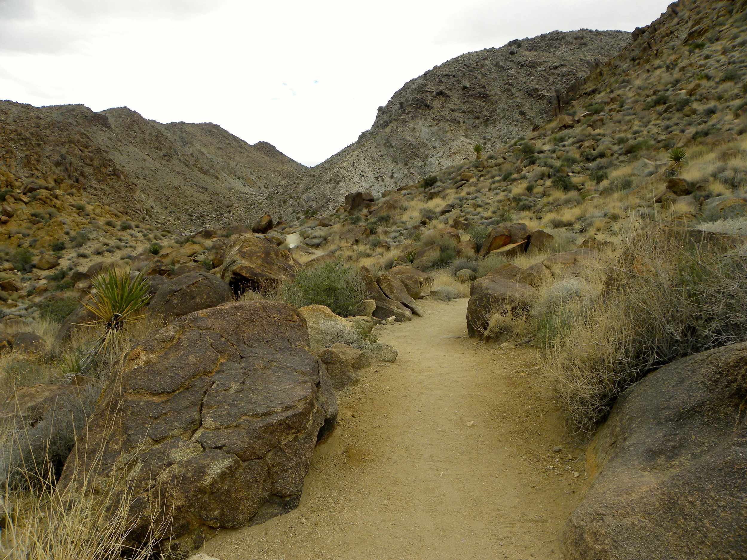 DSCN2032XXSMx 19.JPG