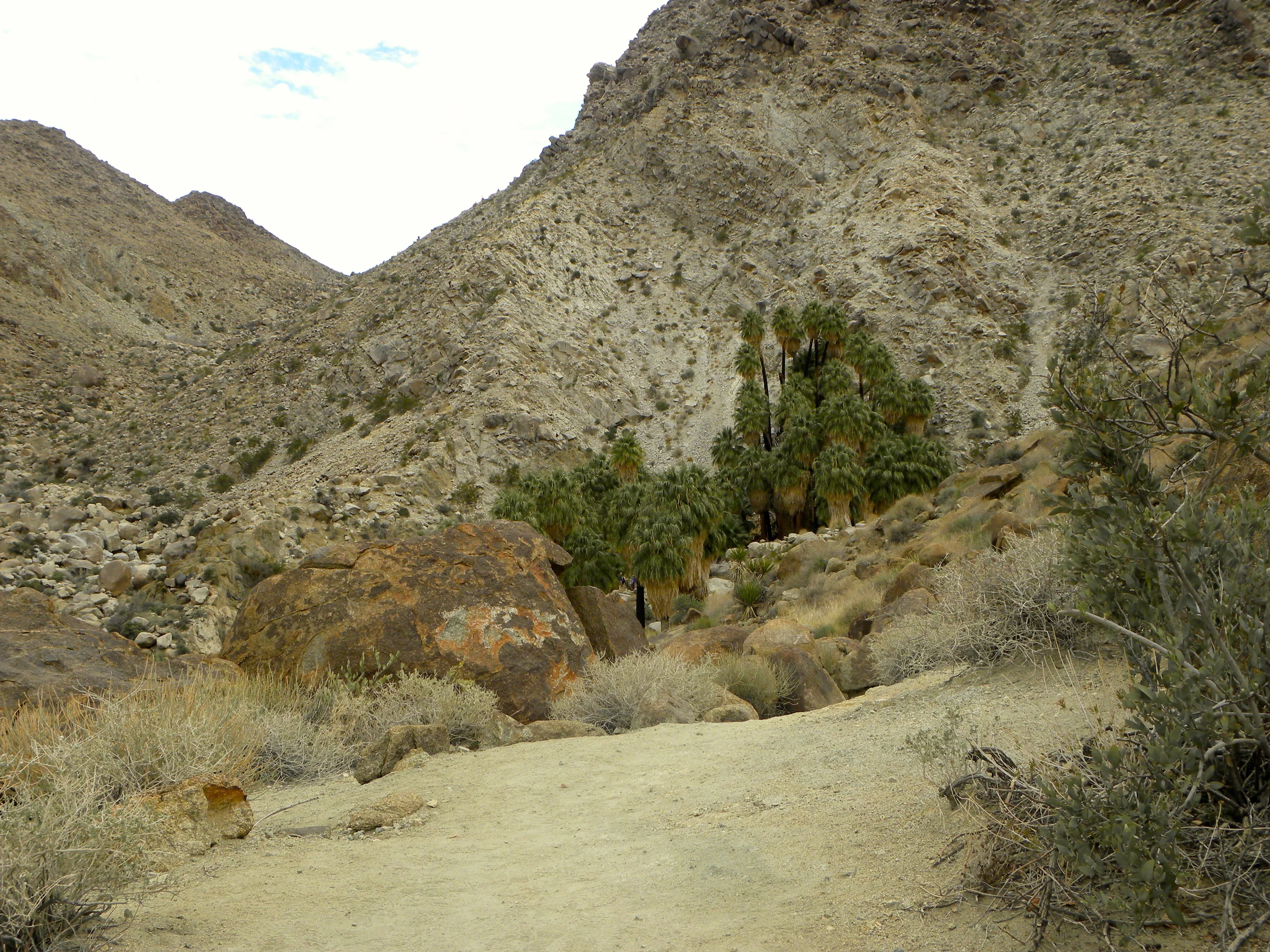 DSCN2032XXSMx 20.JPG